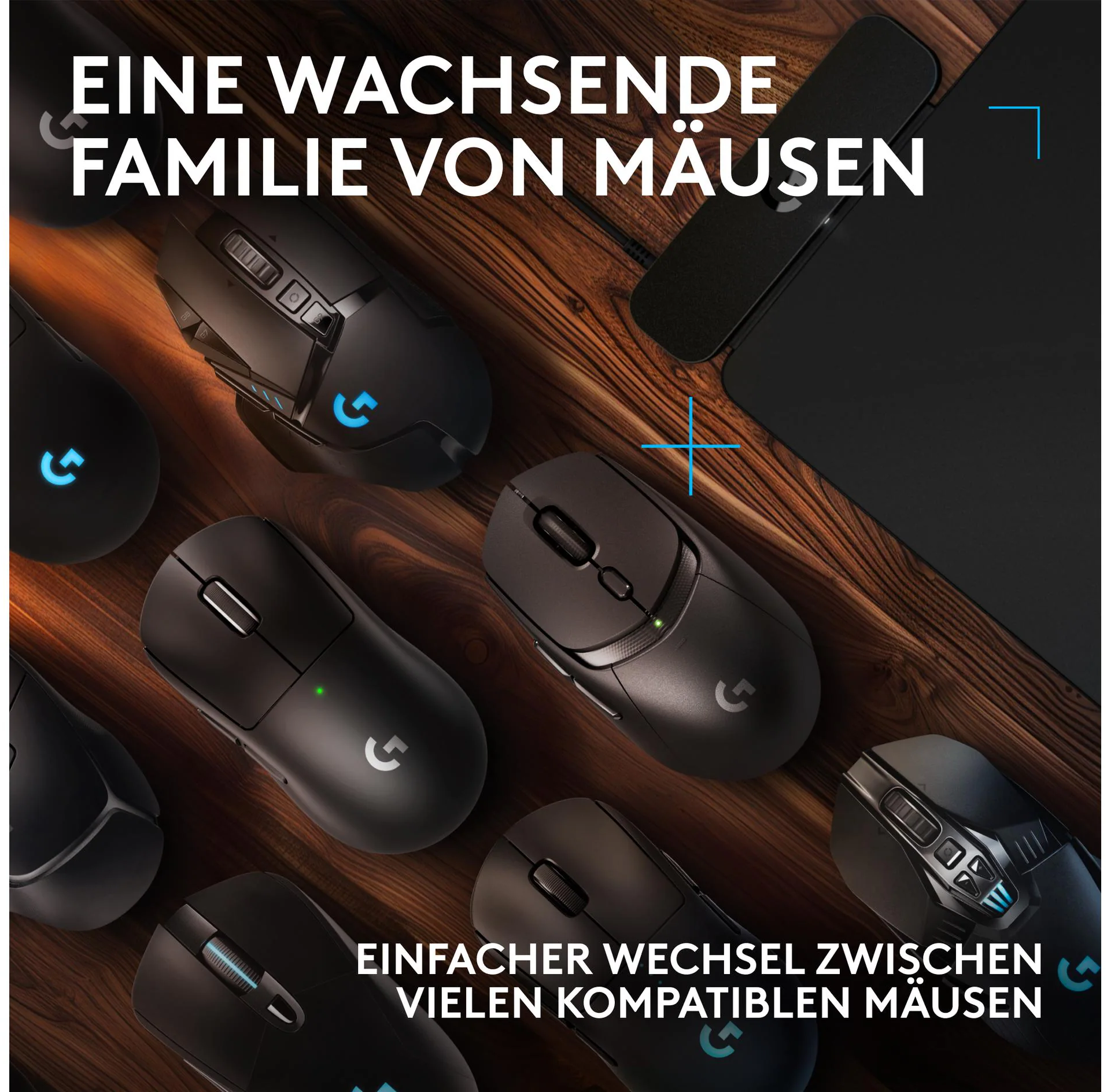 L'immagine mostra diversi mouse neri per computer su una superficie di legno. Testo in tedesco in alto e in basso.