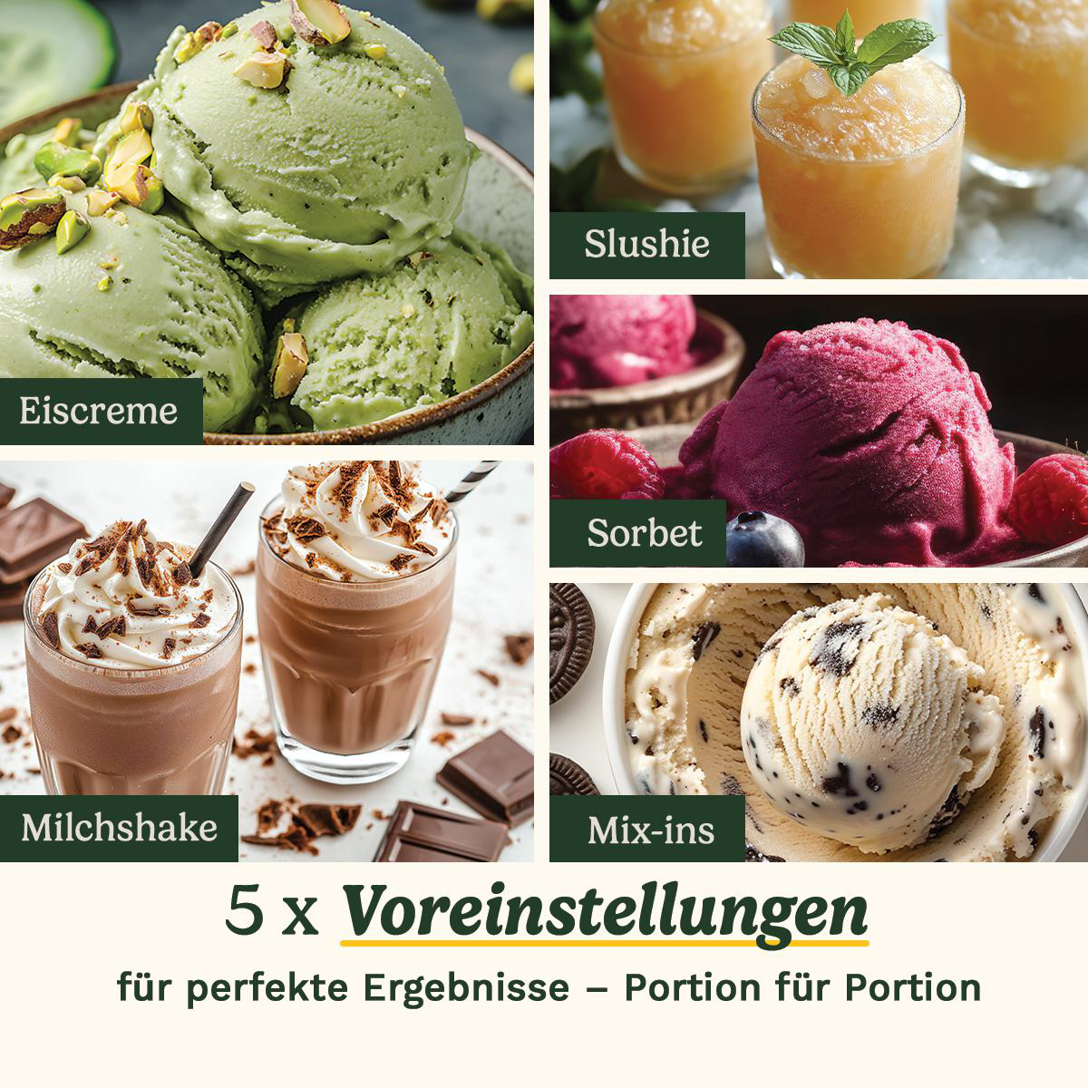 Ein Bild zeigt fünf verschiedene Desserts. Eiscreme, Slushie, Sorbet, Milchshake und Mix-Ins sind abgebildet. Jedes mit einem Etikett.