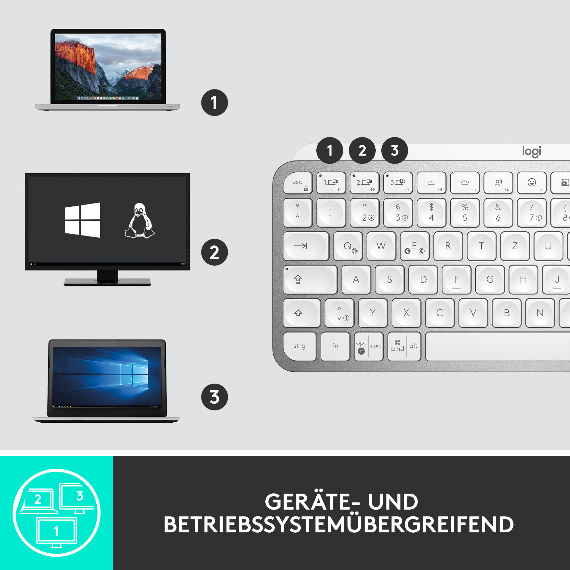 Das Bild zeigt drei Laptops und eine Tastatur. Jeder Laptop zeigt ein anderes Betriebssystem: macOS, Linux und Windows.