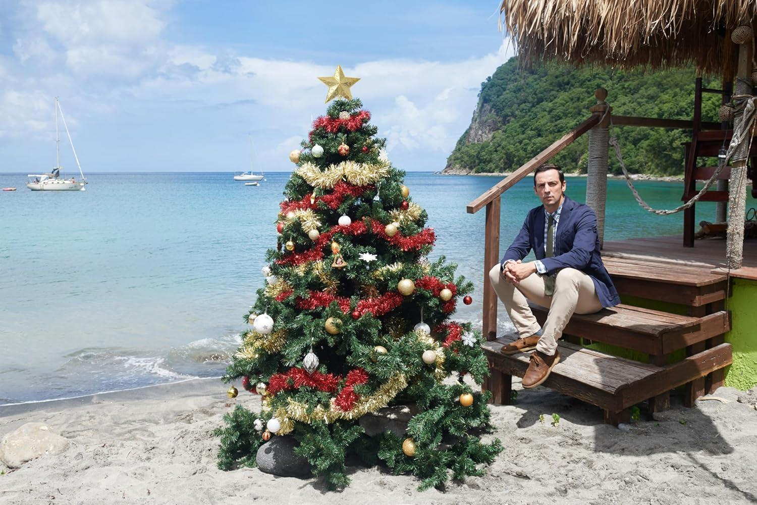 Ein dekorierter Weihnachtsbaum steht an einem Strand mit einem Mann in einem Blazer. Boote und ein Berg sind im Hintergrund.