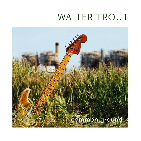 Eine E-Gitarre lehnt in hohem Gras, mit Industriegebäuden im Hintergrund unter blauem Himmel. Der Albumtitel ist sichtbar.