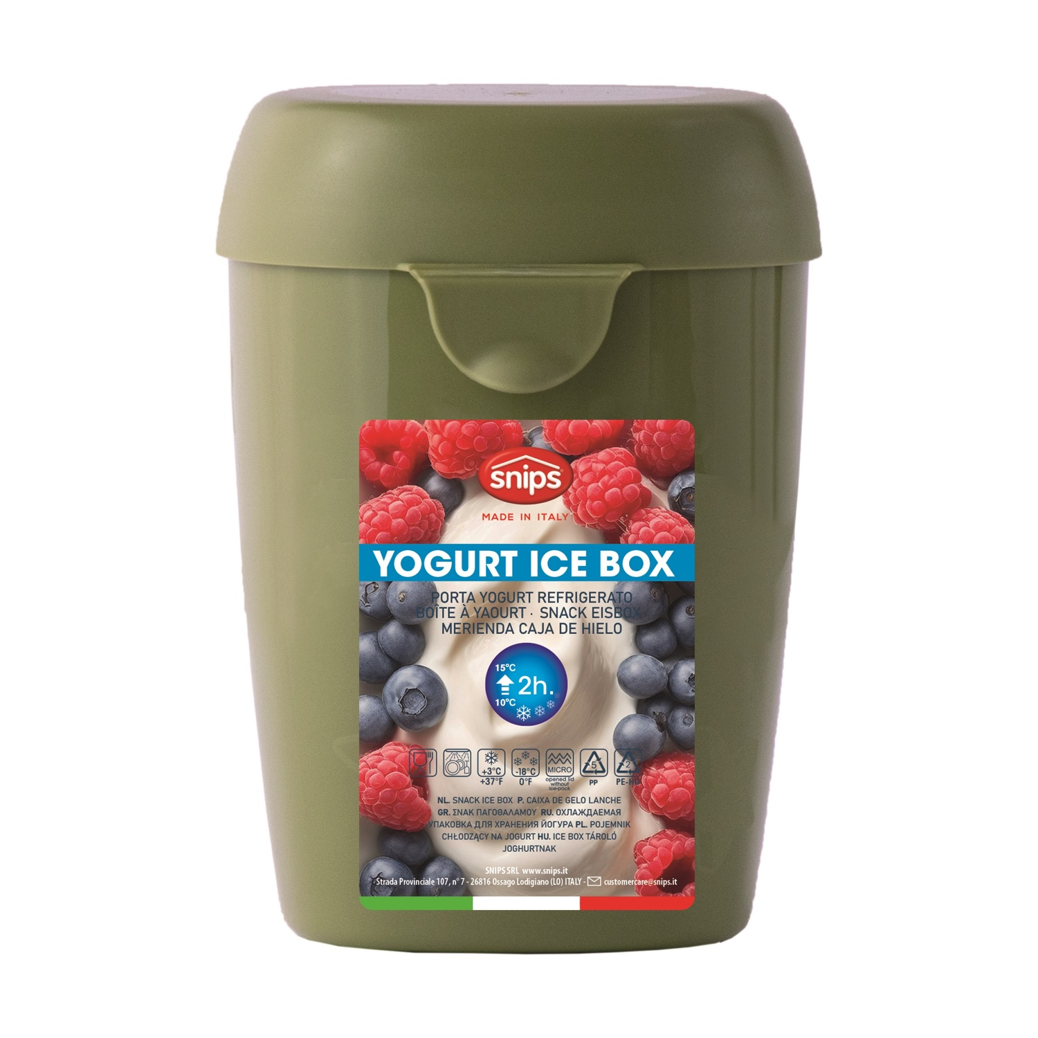 Contenitore per ghiaccio allo yogurt verde con lamponi e mirtilli. L'etichetta dice 'Yogurt Ice Box' e ha informazioni sulla temperatura.