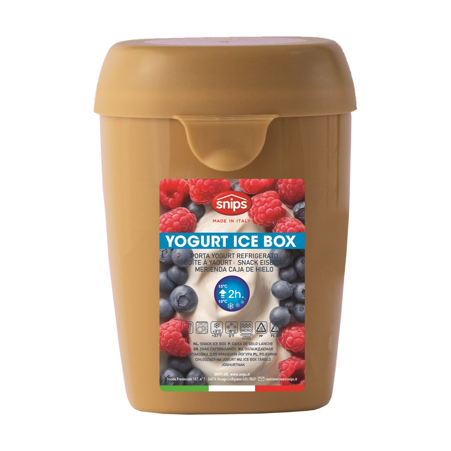 Una scatola di ghiaccio per yogurt marrone con lamponi e mirtilli. Il testo frontale dice 'Yogurt Ice Box'.