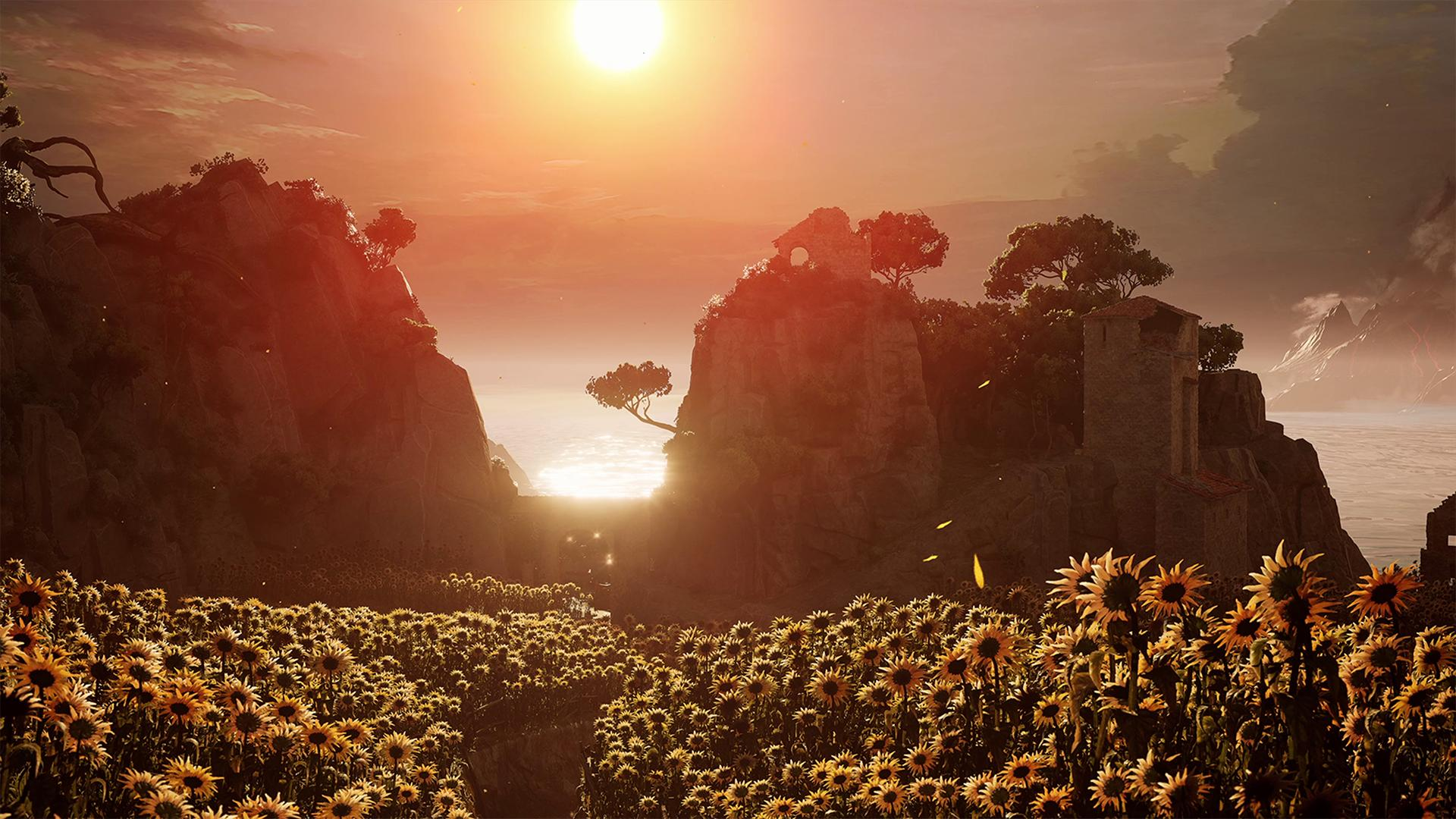 Sonnenblumen auf einem Feld, mit Felsformation und Gebäude. Sonnenuntergang, mit hellem Himmel.