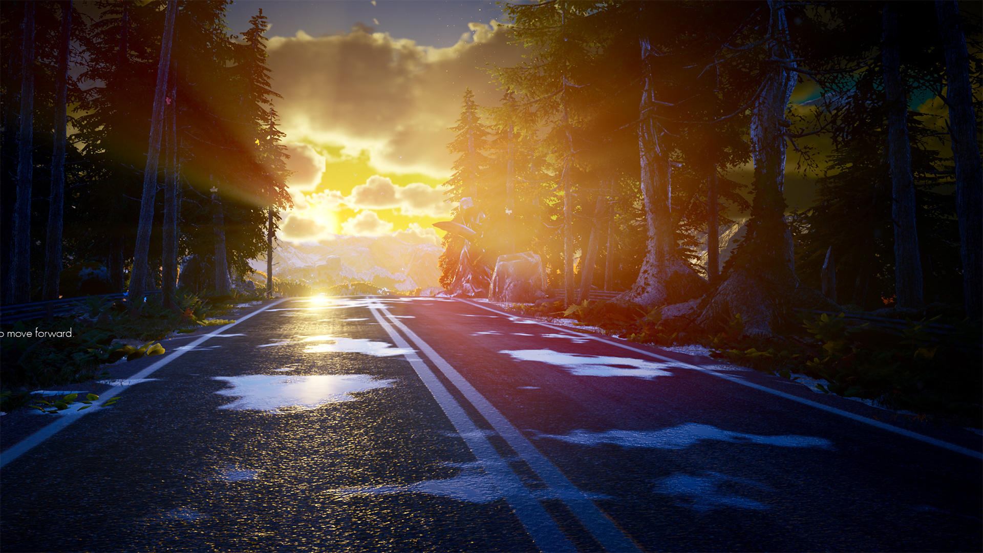 Eine Straße durch einen Wald bei Sonnenuntergang. Die Straße reflektiert das Licht. Bäume säumen die Seiten. Berge und Himmel sind im Hintergrund.