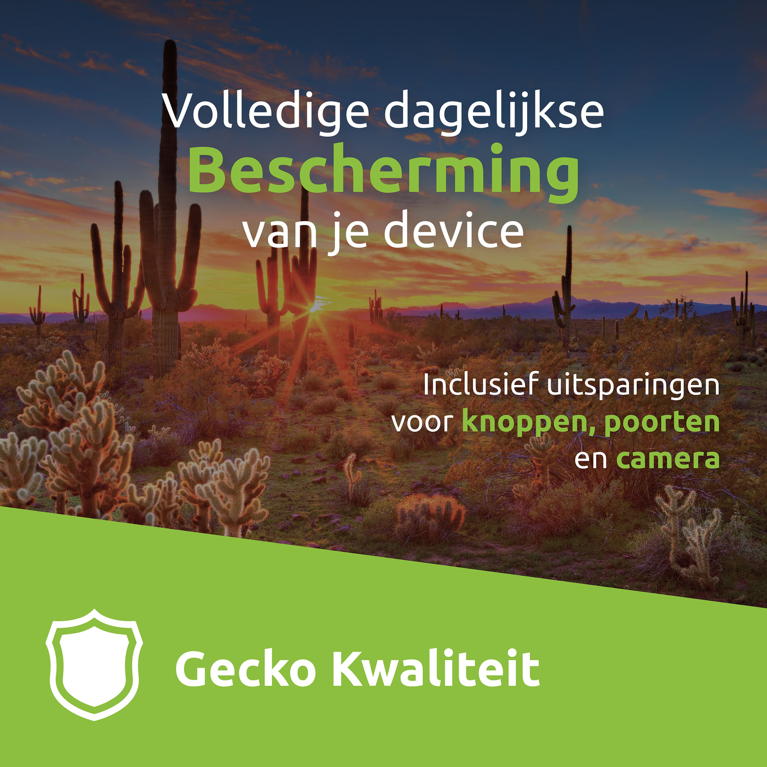Desert landscape with cacti and sunset. Text includes 'daily protection' and 'Gecko Quality'.