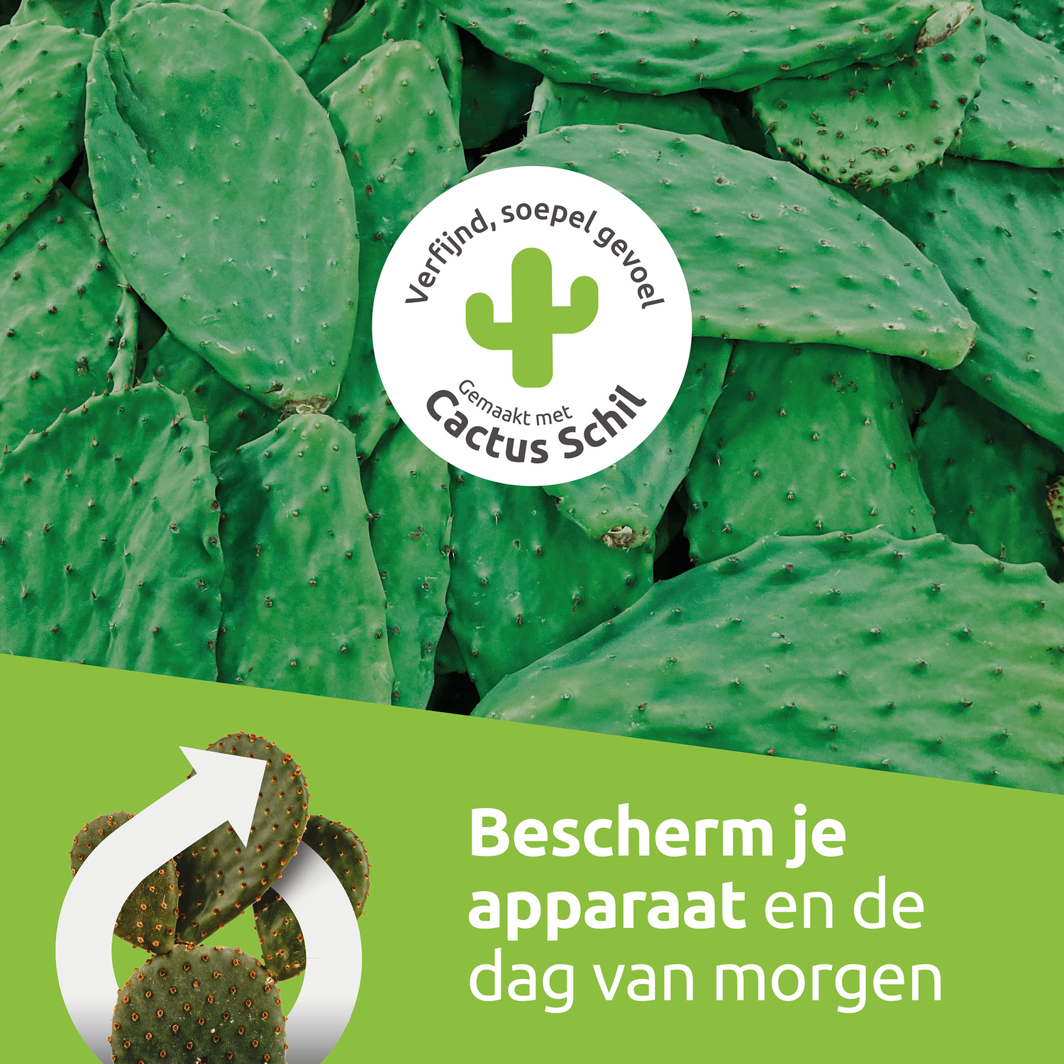 Green cactus leaves fill the frame. A circular logo with a cactus image is in the center. Text in Dutch says 'Protect your device'.