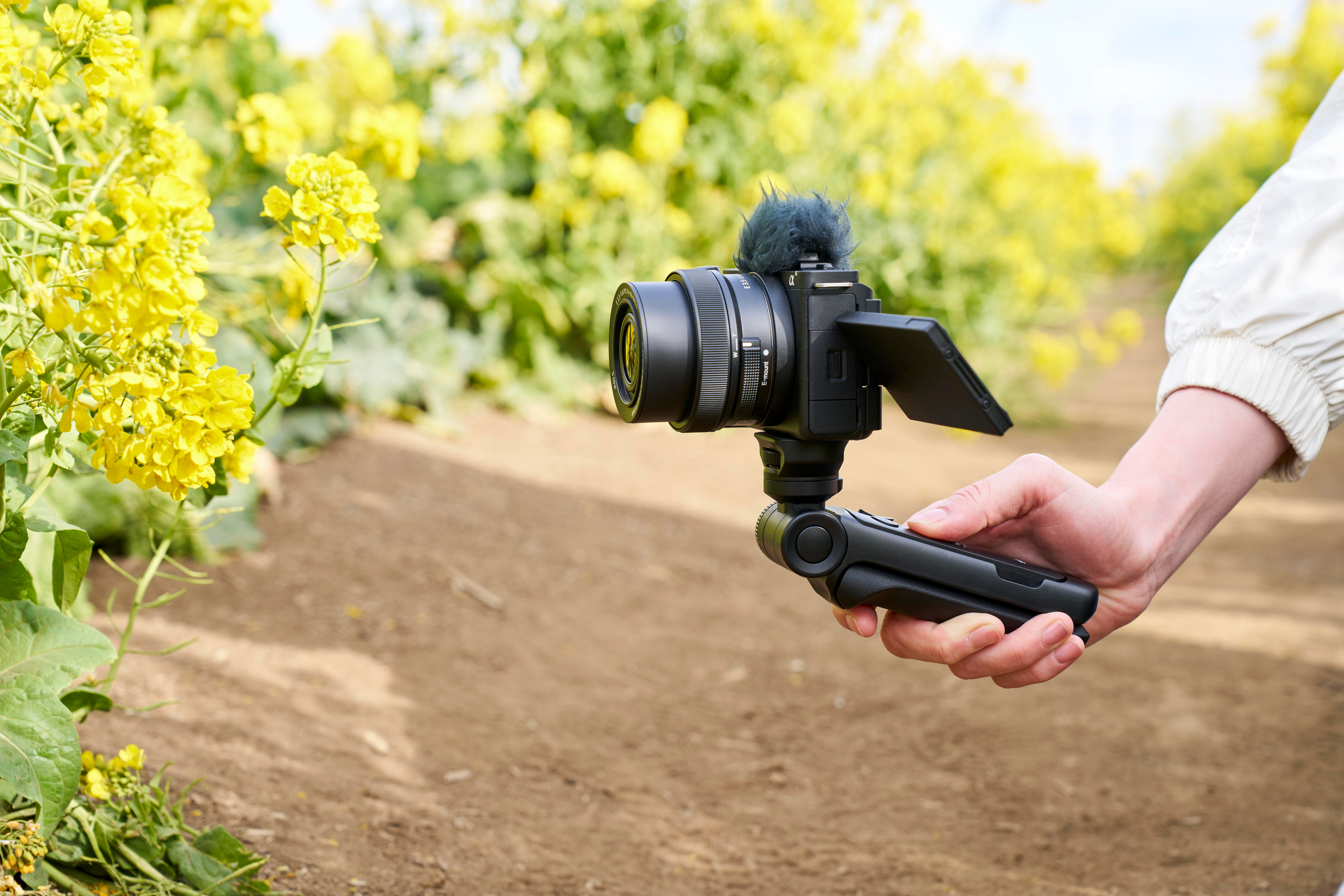 Hand hält eine Kamera auf einem Stativ in einem Feld. Gelbe Blumen im Hintergrund. Kamera hat Mikrofon befestigt und Bildschirm geöffnet.
