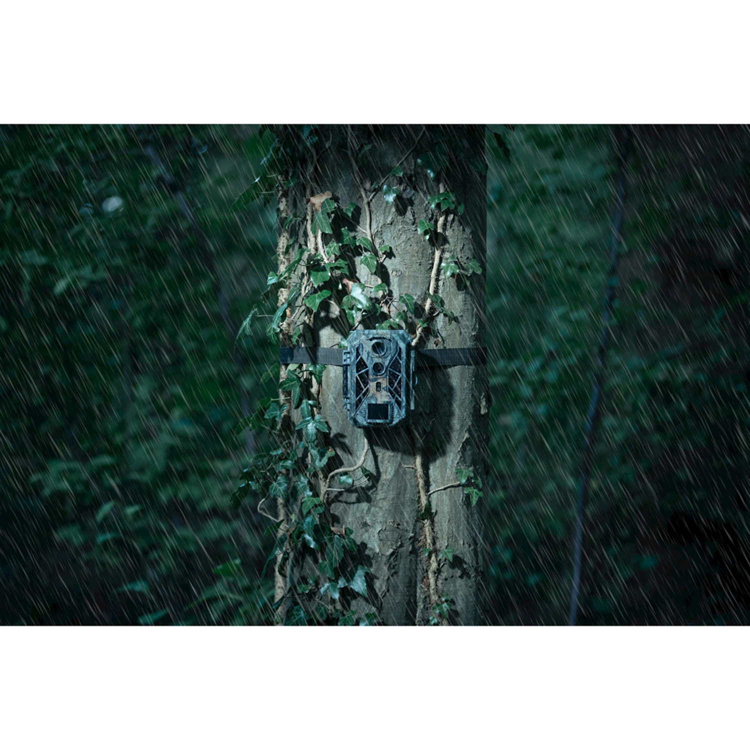 Fotocamera da caccia su un tronco con edera, in una foresta, sotto la pioggia. Sfondo di fogliame sfocato.