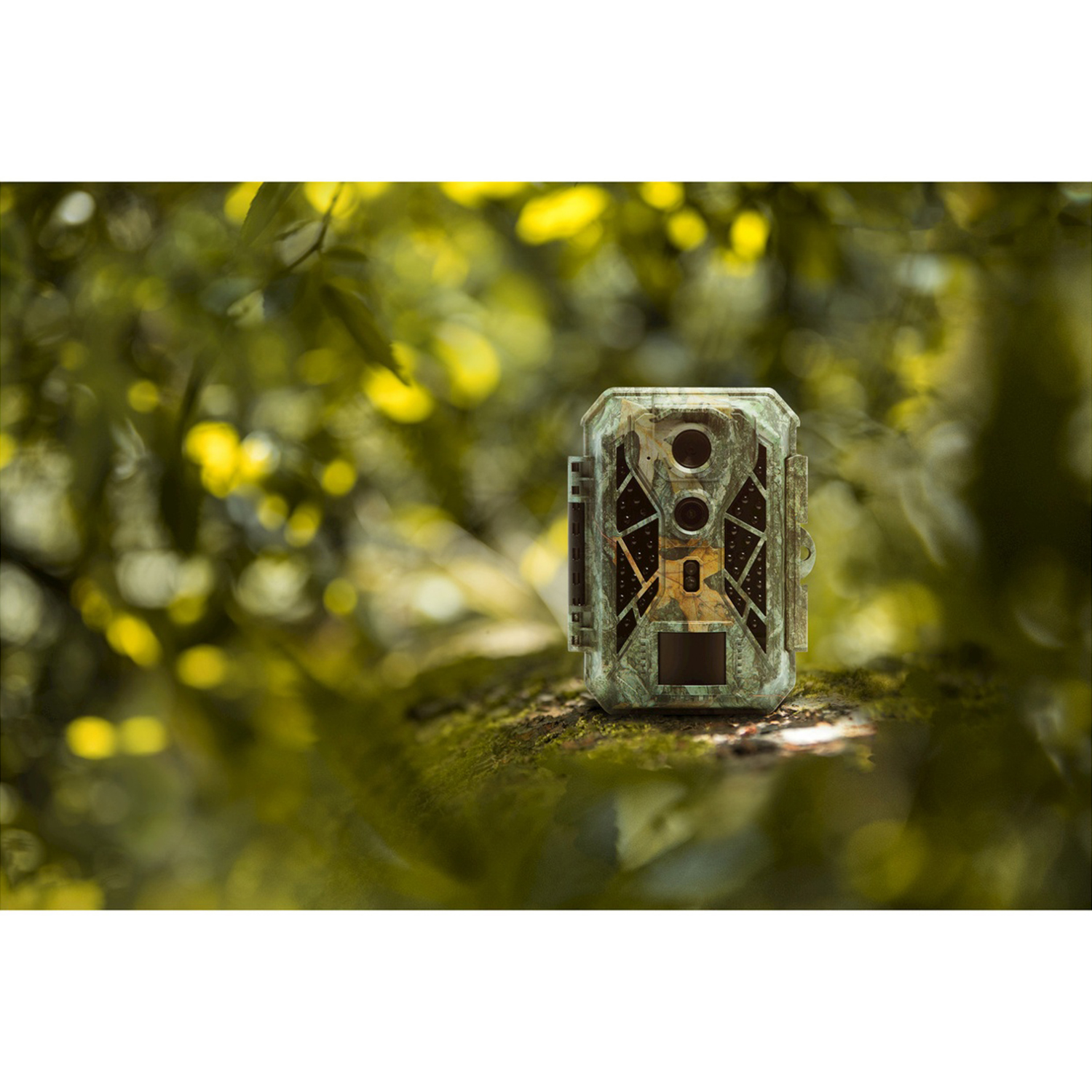 Una fototrappola mimetizzata poggia su un tronco muschioso. Lo sfondo è una foresta sfocata con foglie verdi e gialle.