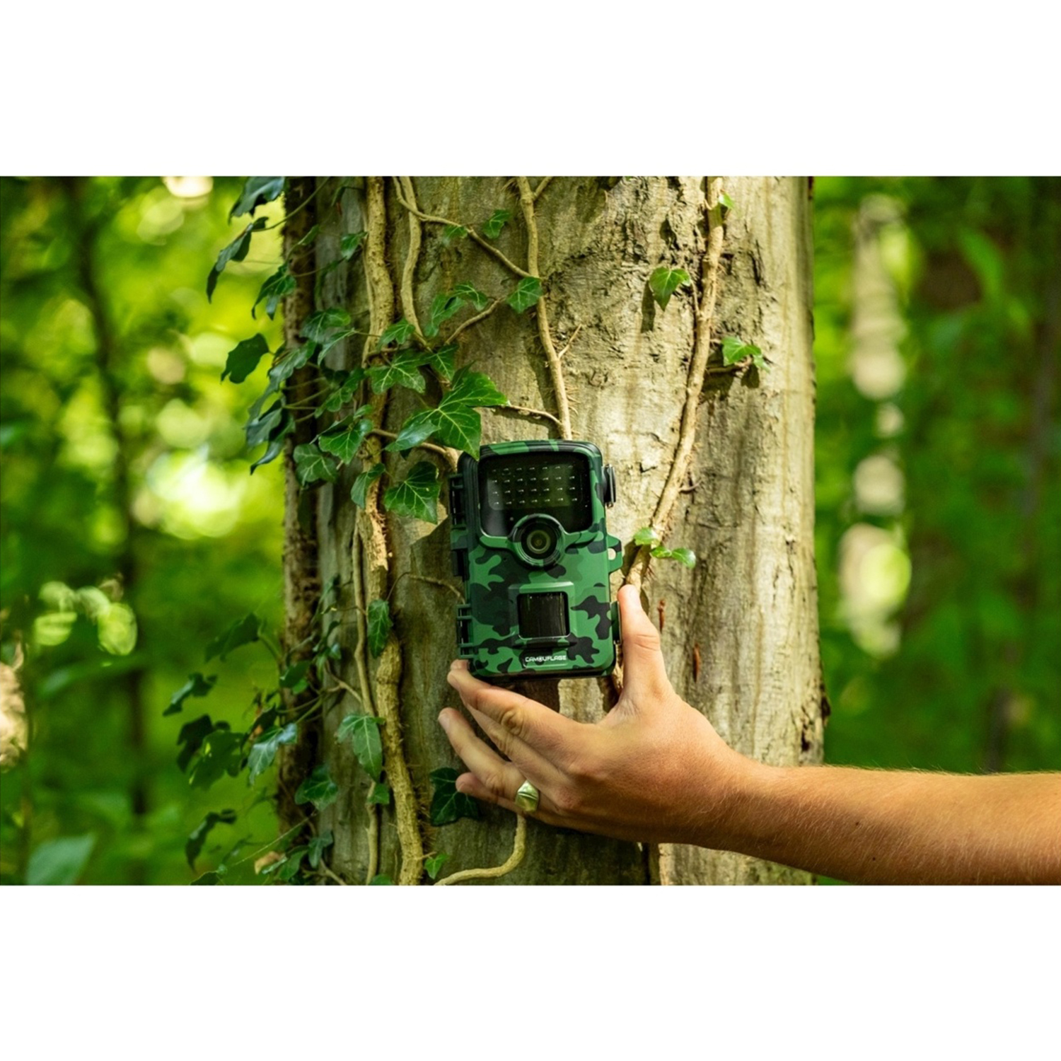 Una mano tiene una fotocamera mimetica montata su un tronco d'albero. L'edera verde copre l'albero. Sfondo foresta.