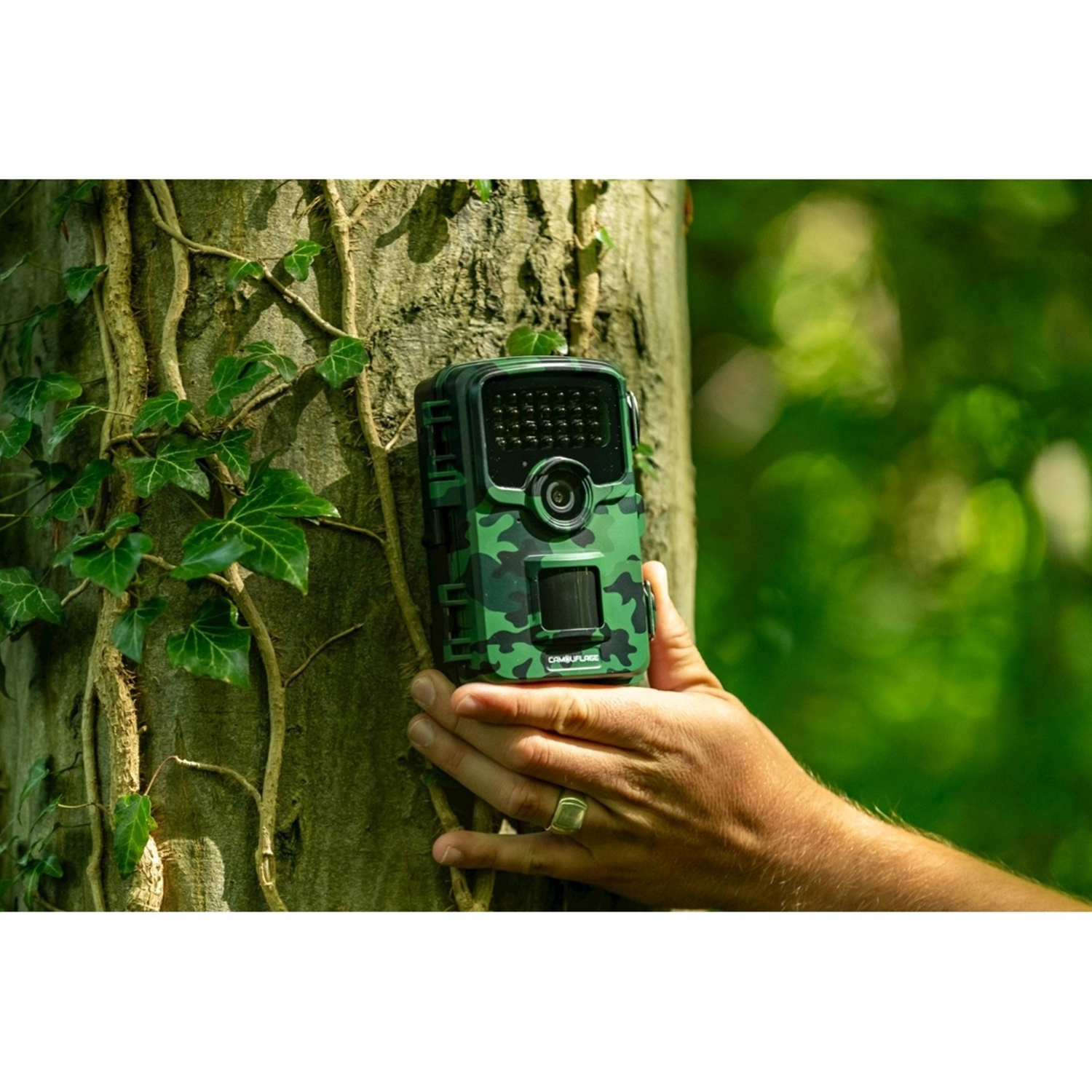 Una telecamera mimetica verde è tenuta da una mano su un tronco d'albero. Edera e fogliame verde sullo sfondo.