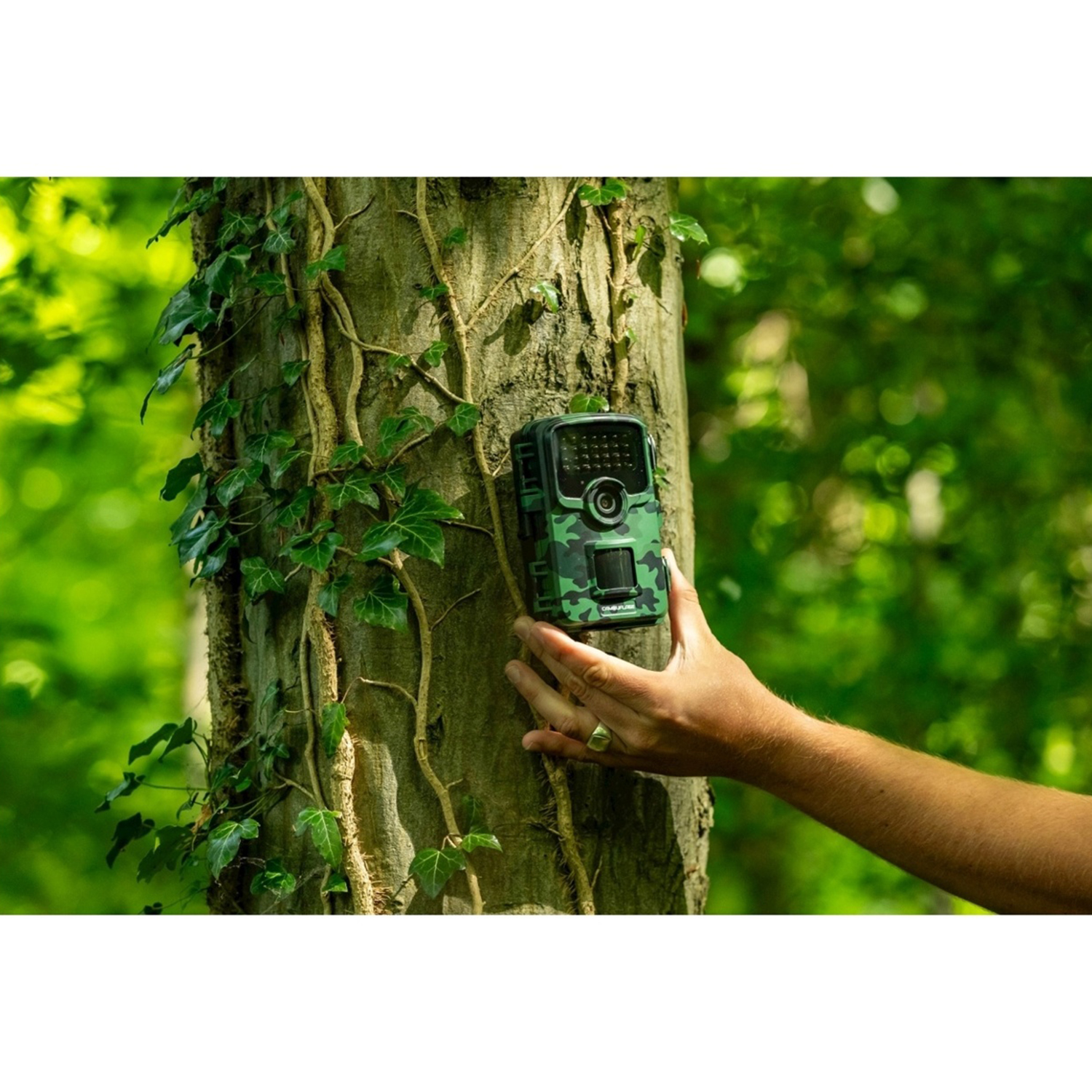 Una mano tiene una fotocamera mimetica su un tronco d'albero coperto di edera. Lo sfondo è un fogliame verde sfocato.