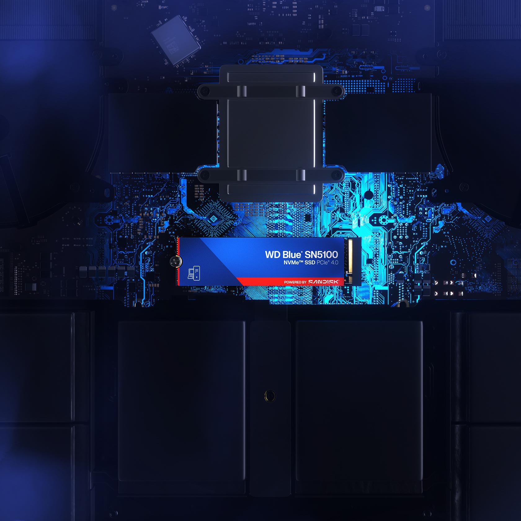 Eine blaue und rote WD Blue SN5100 NVMe SSD-Karte befindet sich auf einer Leiterplatte mit einem schwarzen Rahmen und einem dunkelblauen Hintergrund.