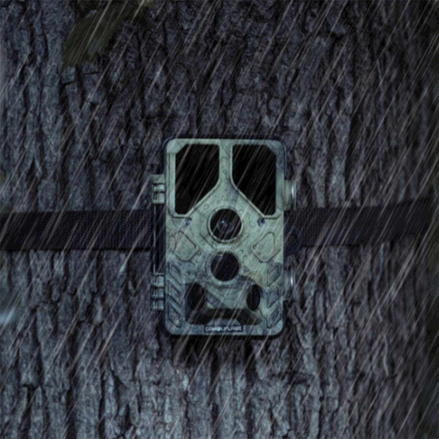 Una telecamera mimetica è montata su un tronco d'albero. Piove. La telecamera è fissata da una cinghia nera. La corteccia dell'albero è strutturata.