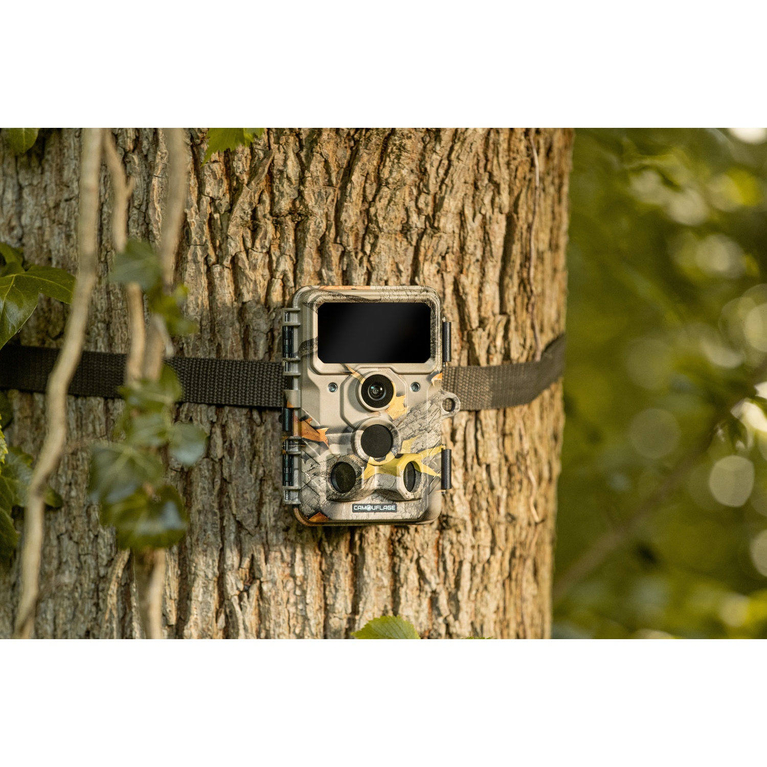 Una fotocamera mimetica è legata a un tronco d'albero. La fotocamera ha uno schermo nero e più obiettivi. Lo sfondo è un fogliame verde sfocato.