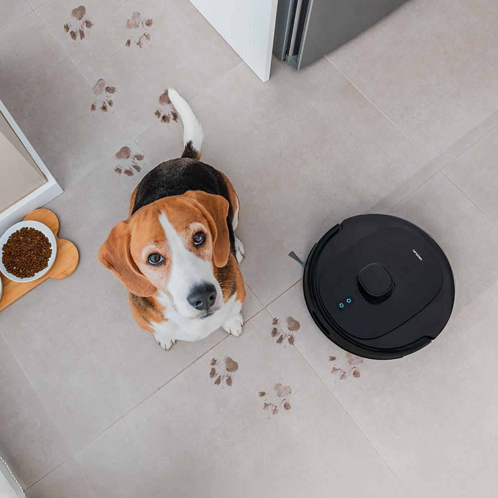 Un beagle sentado en un suelo embaldosado con huellas de patas. Una aspiradora robot y un cuenco de comida están cerca. Una puerta está al fondo.
