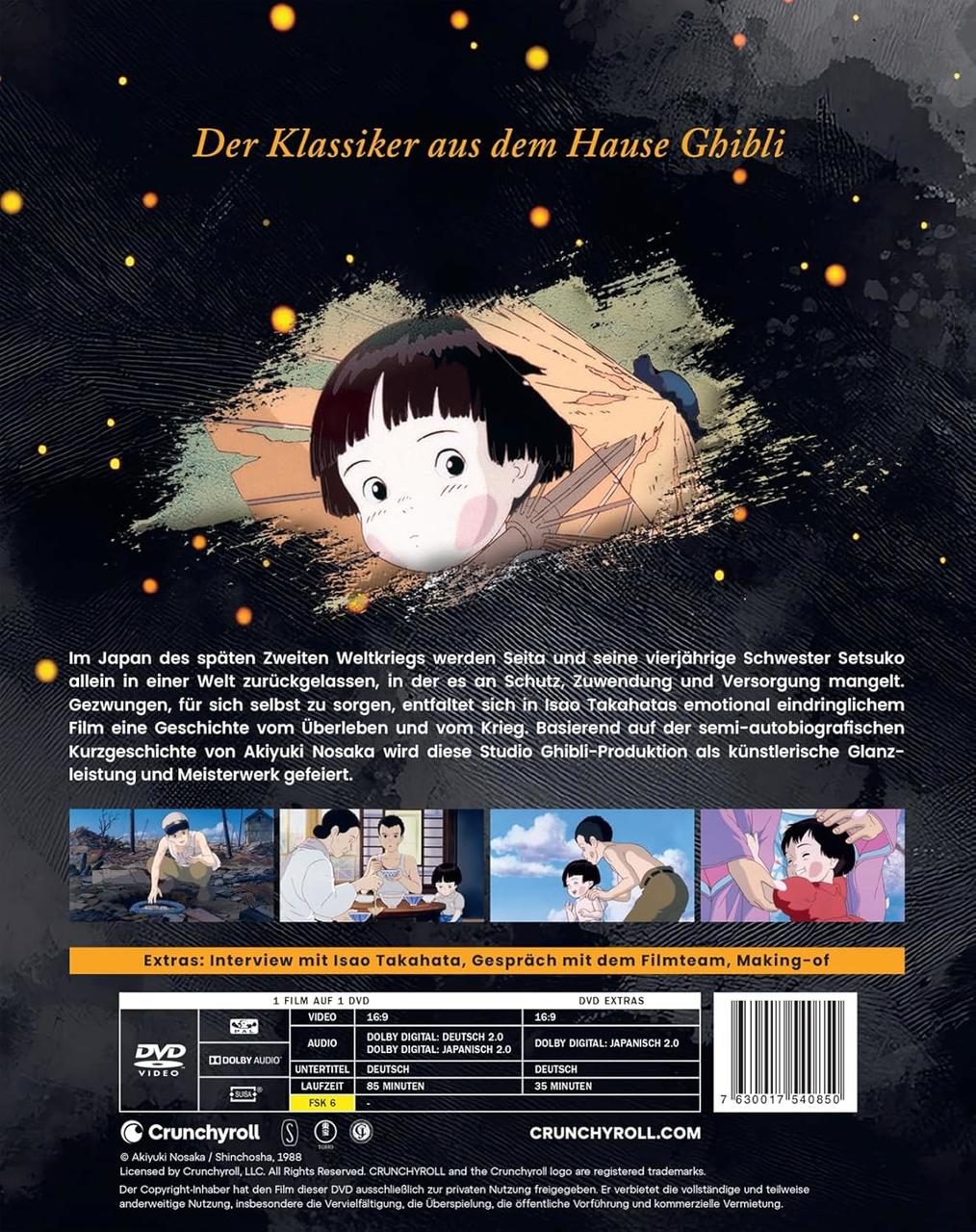 DVD-Cover eines Zeichentrickfilms. Ein Kind liegt mit traurigem Gesichtsausdruck. Der Text enthält Titel und Filminformationen.
