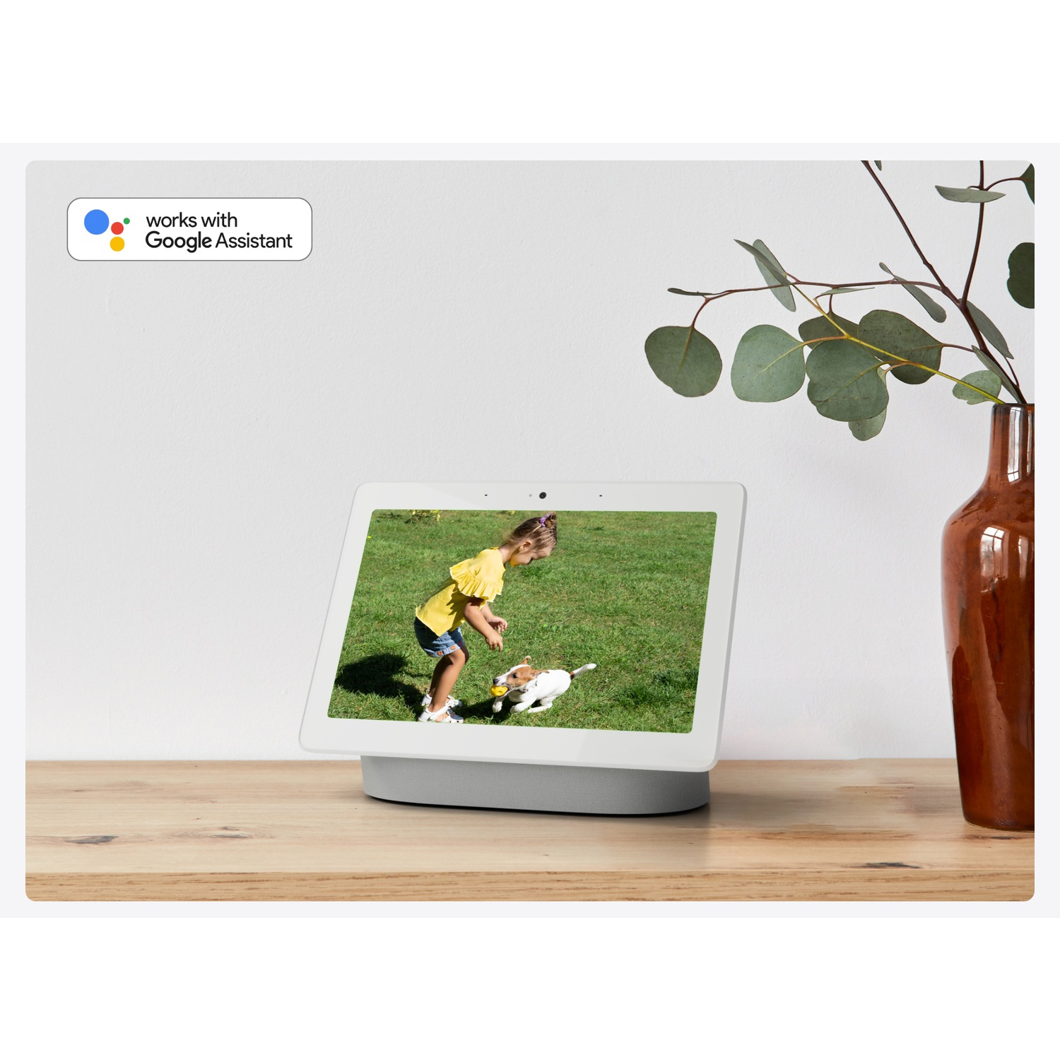 Un Google Nest Hub mostra un bambino che gioca con un cane su un prato. A destra c'è un vaso con foglie.