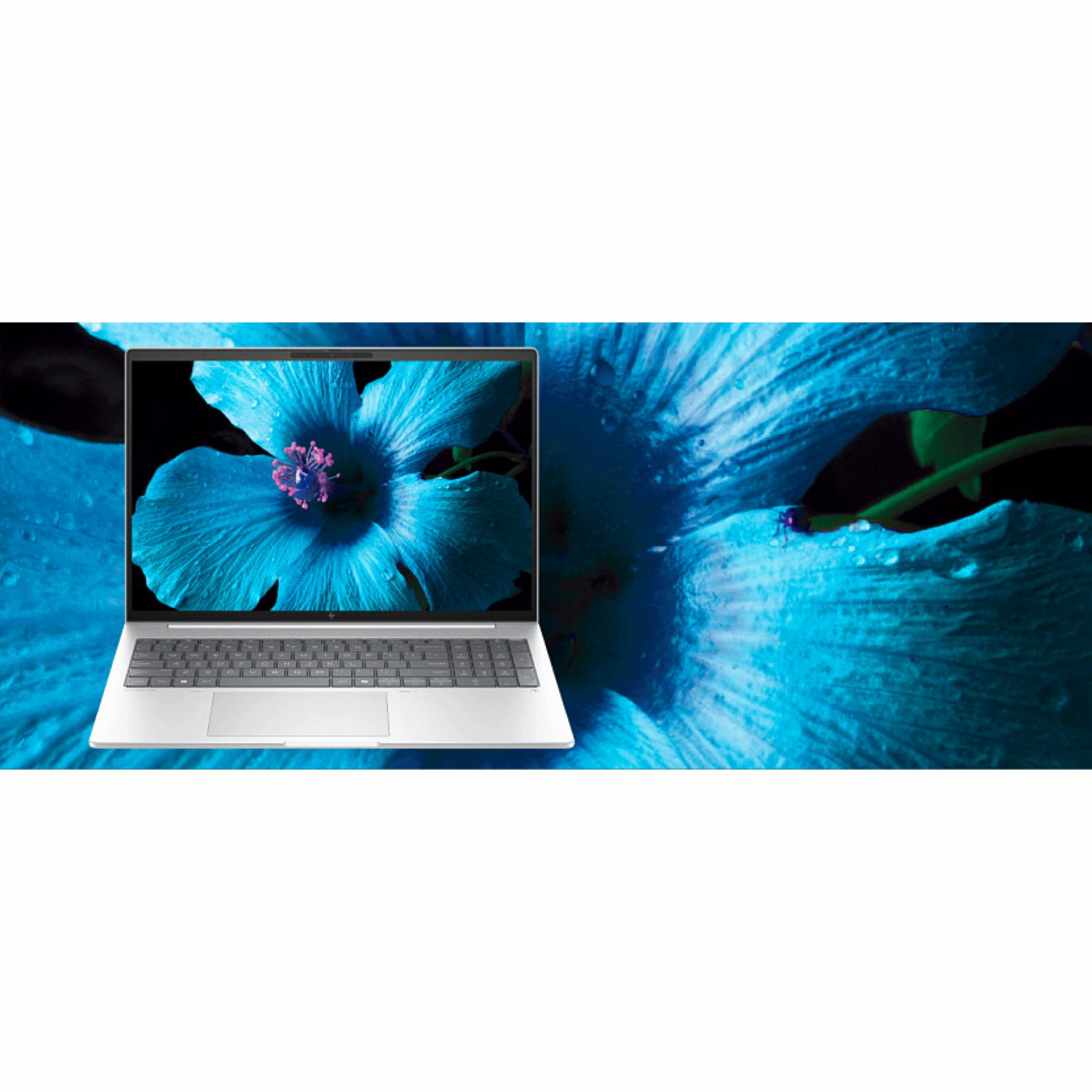 Laptop toont een bloemenafbeelding. De achtergrond toont een grote blauwe bloem met waterdruppels.