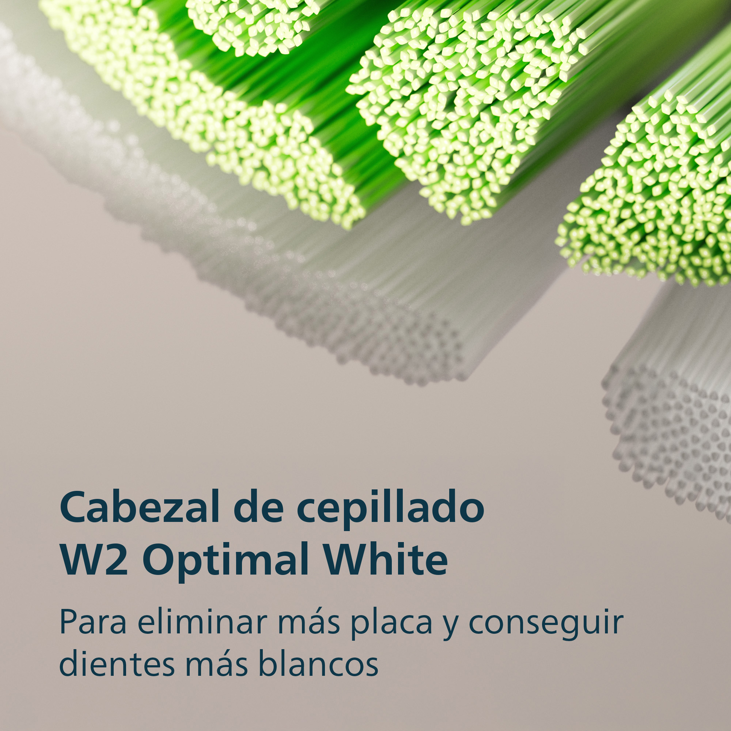 Cabezal de cepillado W2 Optimal White. Para eliminar más placa y conseguir dientes más blancos.
