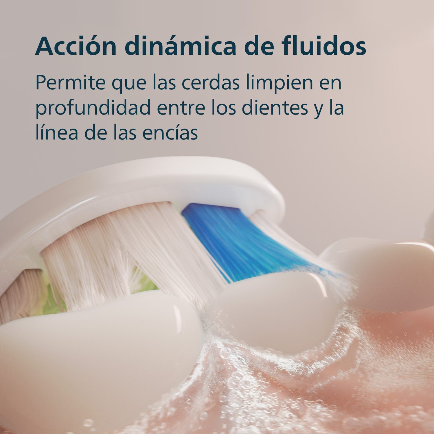 Acción dinámica de fluidos. Permite que las cerdas limpien en profundidad entre los dientes y la línea de las encias.
