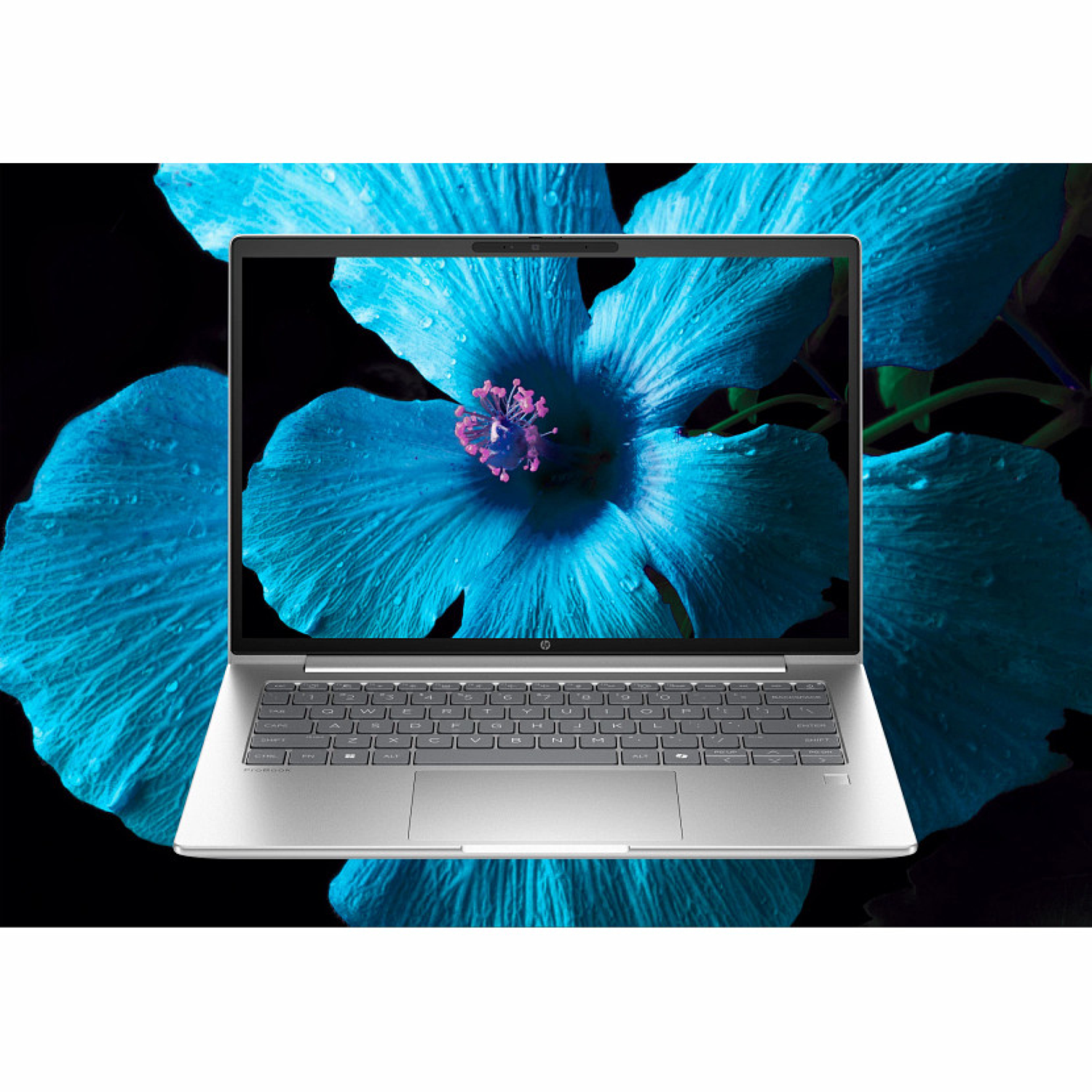 A silver laptop displays a blue flower with pink center. The background is black with blurred blue flower petals.