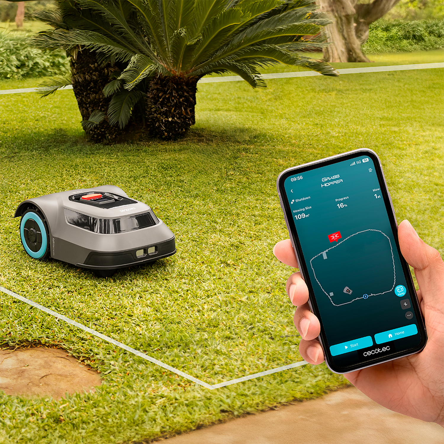 Un cortacésped robótico sobre hierba, controlado por un teléfono que muestra el progreso del corte. Palmera en el fondo.