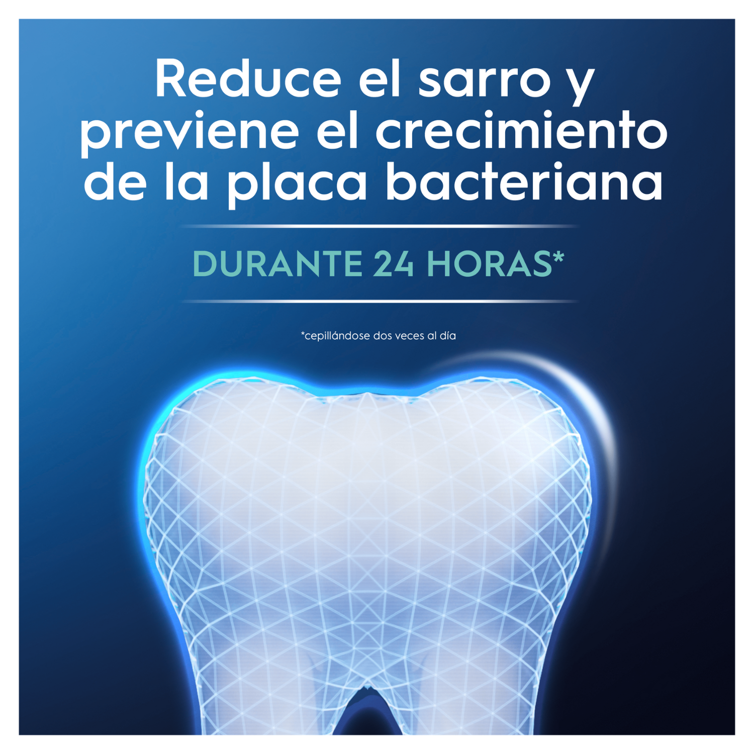 Reduce el sarro y previene el crecimiento de la placa bacteriana durante 24h cepillándose 2 veces al día.