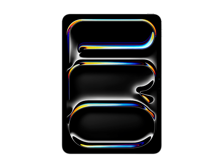 Apple iPad Pro 11'' M5 Wi‐Fi 512Gb con vetro standard - Argento Slate