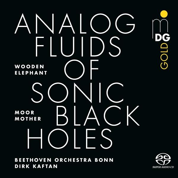 Albumcover mit weißem Text auf schwarzem Hintergrund. Titel ist 'Analog Fluids of Sonic Black Holes'. Enthält Künstler- und Labelinformationen.