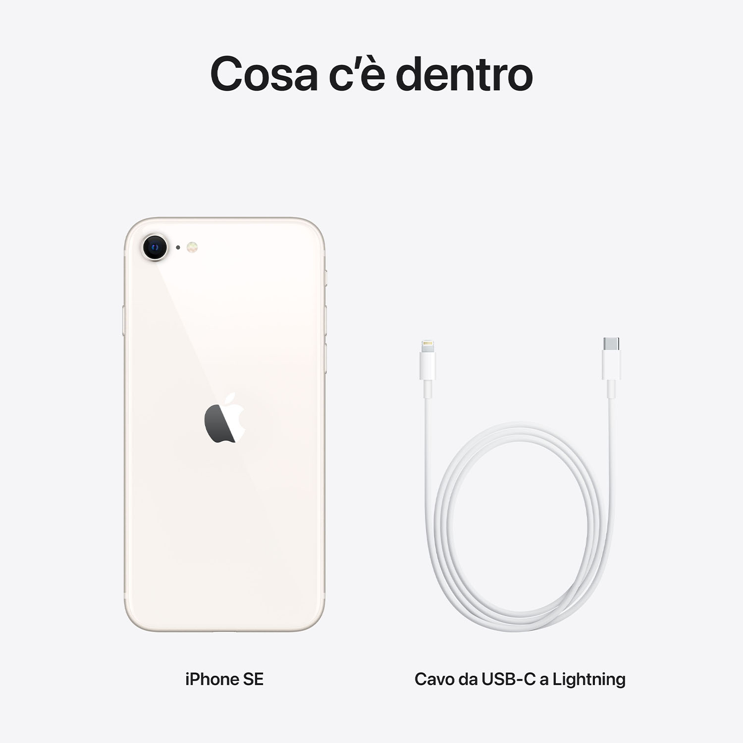 L'immagine mostra un iPhone SE, un telefono bianco con il logo Apple, e un cavo USB-C a Lightning bianco su sfondo bianco.
