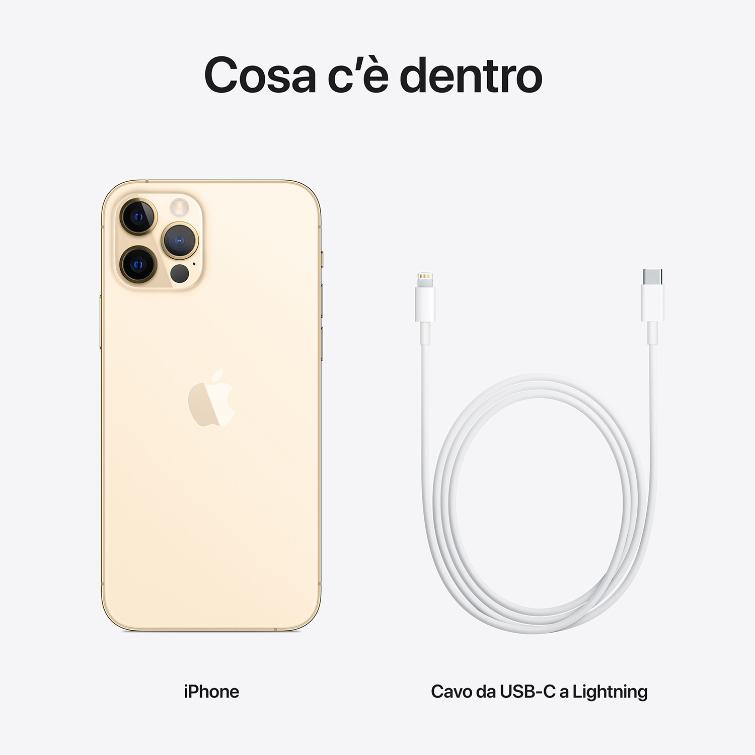 iPhone oro e cavo da USB-C a Lightning bianco su sfondo bianco. Il telefono è a sinistra, il cavo a destra.