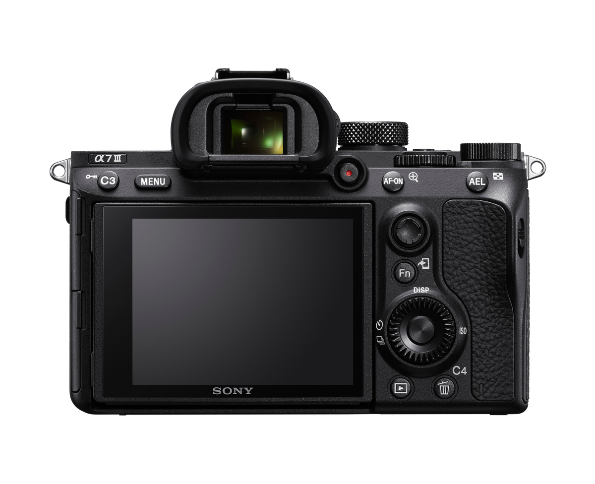 Rückansicht der schwarzen Sony α7 III Kamera. Merkmale sind Bildschirm, Knöpfe, Räder und Sucher. Der Hintergrund ist weiß.