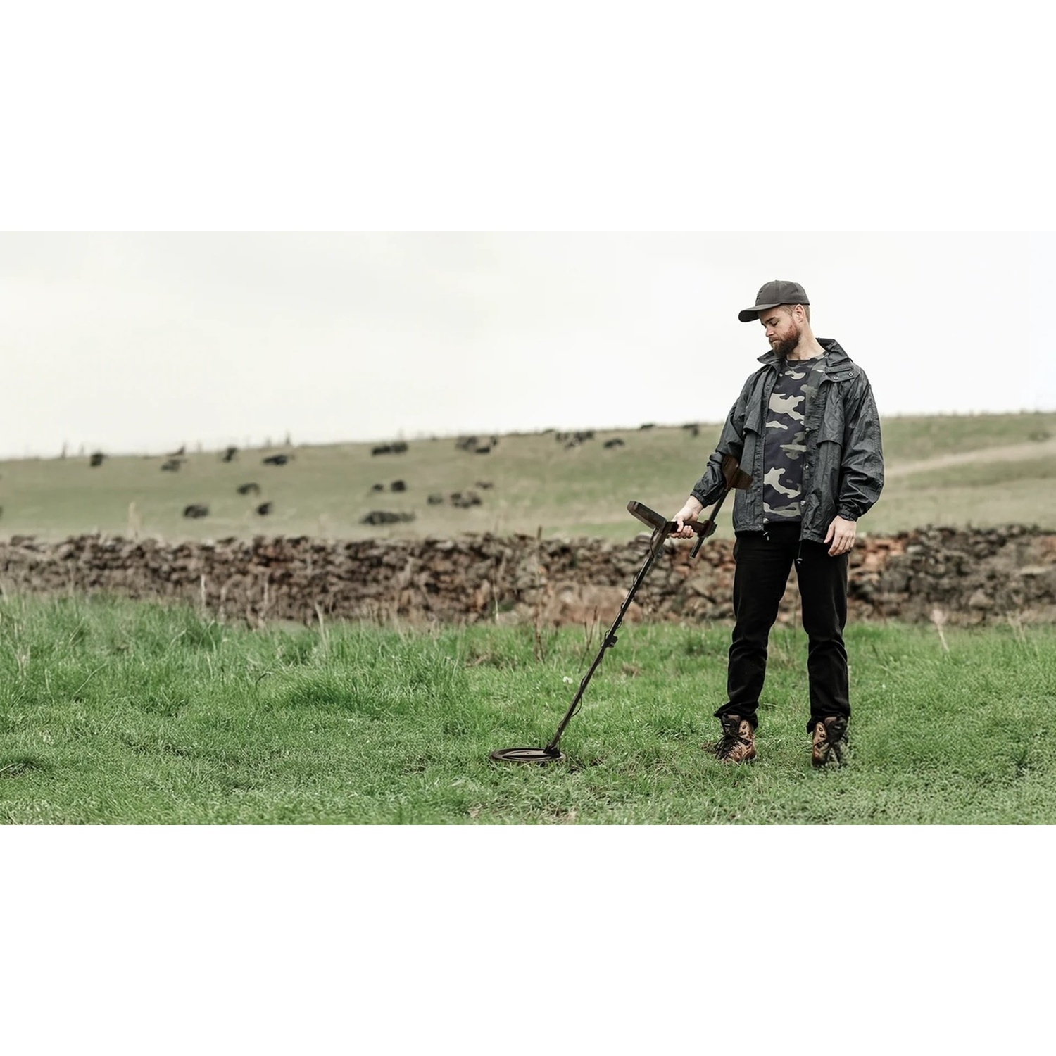 Un uomo usa un metal detector in un campo. Indossa un berretto, una camicia mimetica e una giacca. Mucche pascolano su una collina.