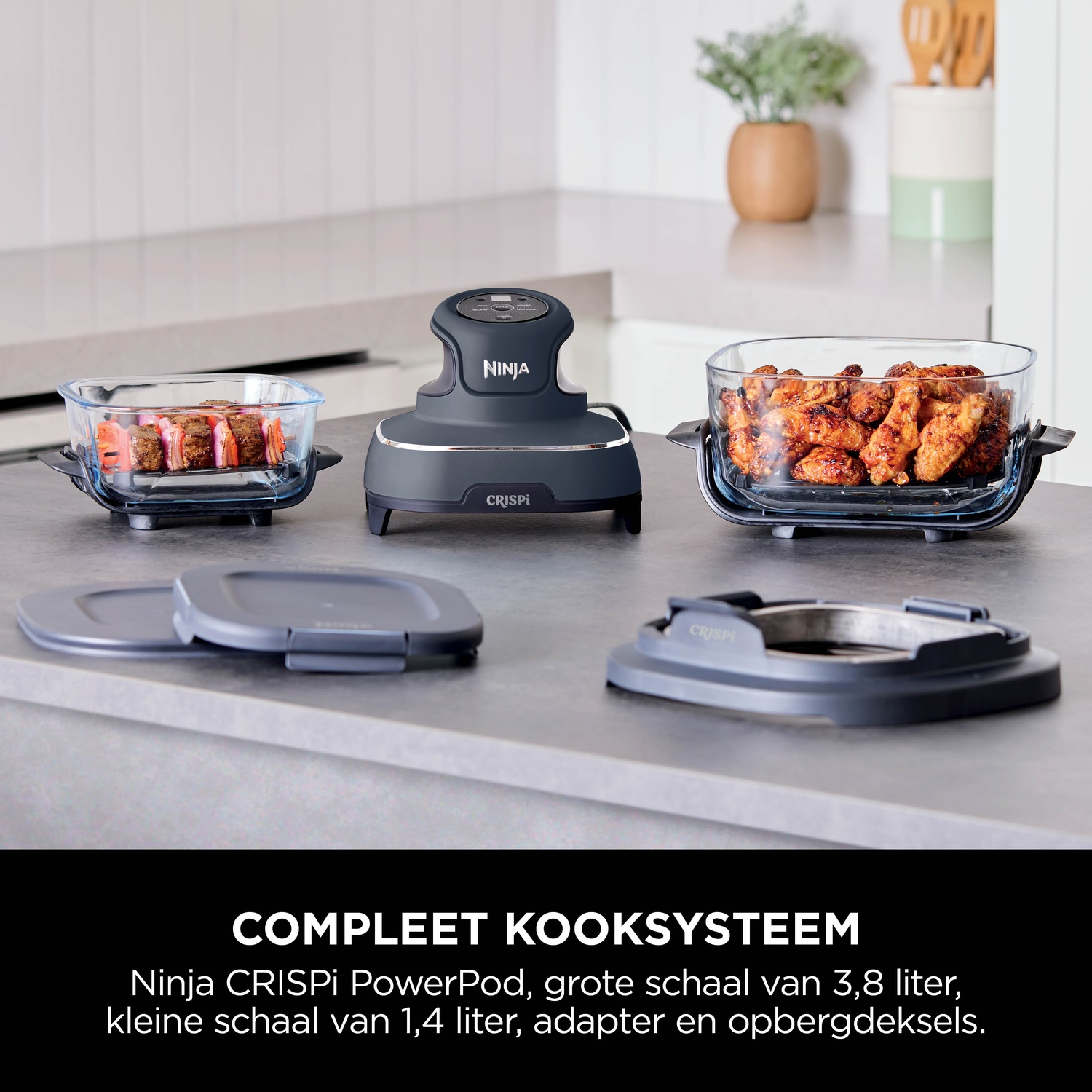 Ninja CRISPI PowerPod with food in glass dishes. Includes lids and an adapter. Kitchen setting with plants in the background.