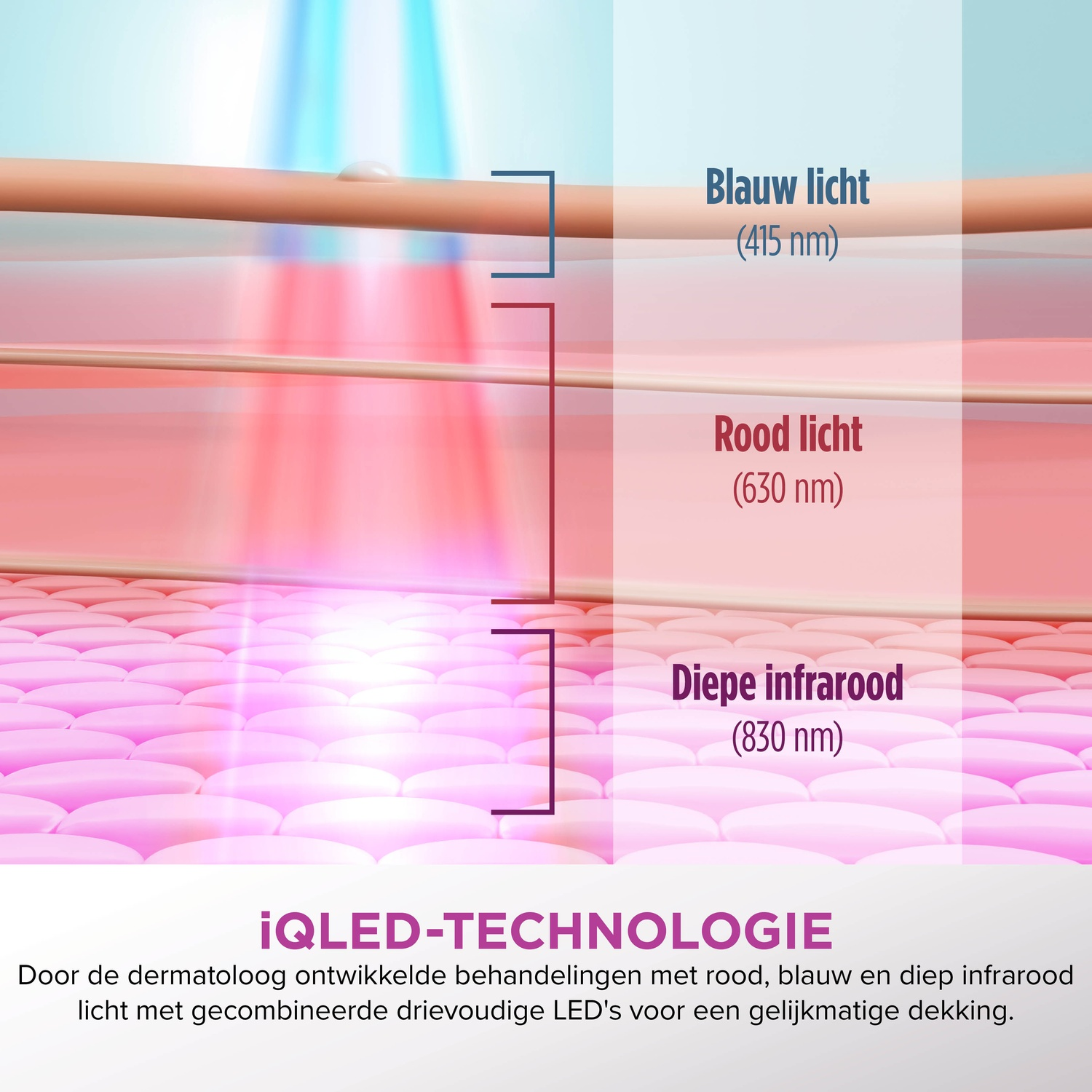 Diagram showing skin layers and light penetration: blue (415nm), red (630nm), and deep infrared (830nm). Text below: iQLED-TECHNOLOGIE.