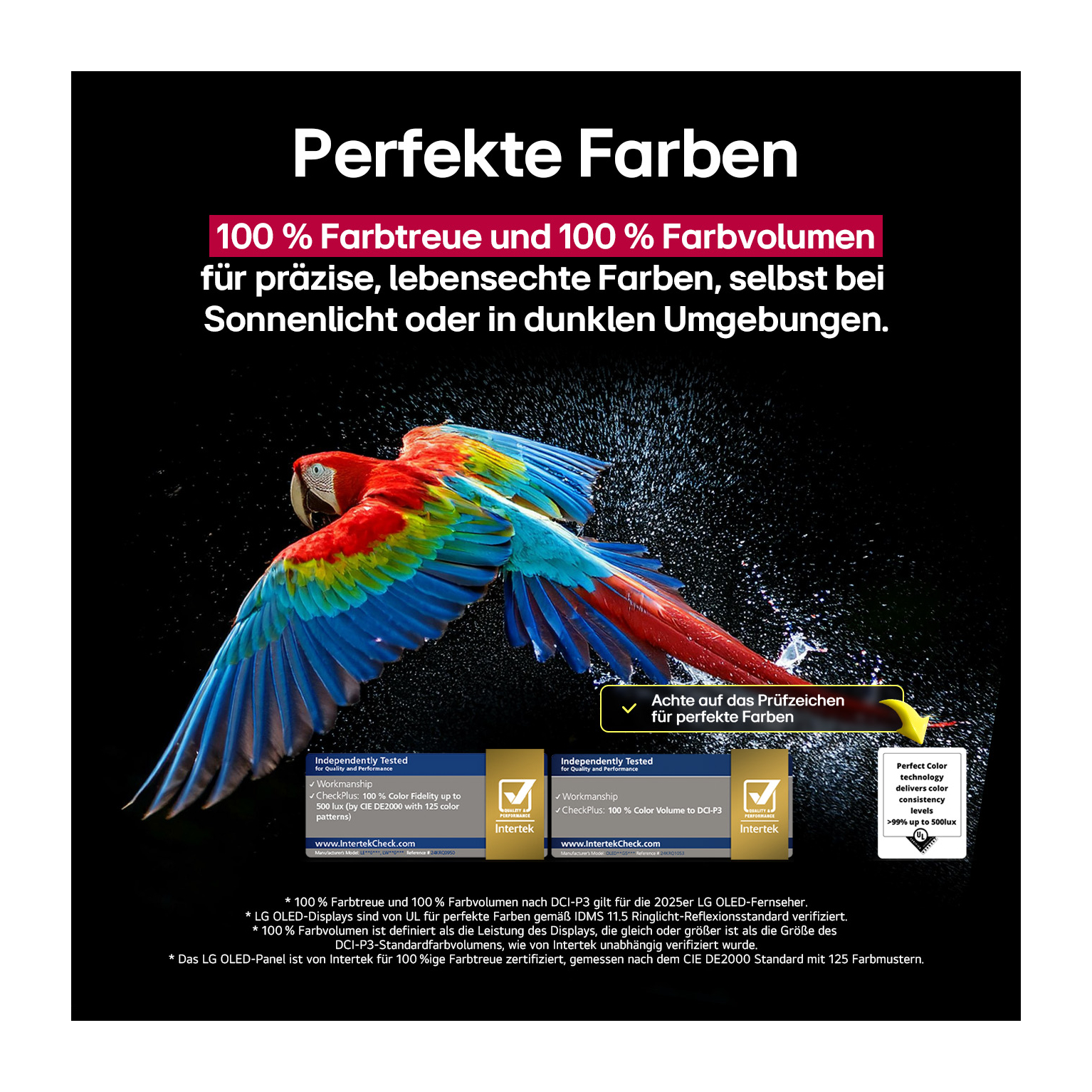 Ein Papagei mit roten, gelben und blauen Federn fliegt vor dunklem Hintergrund, Text über Farbgenauigkeit.