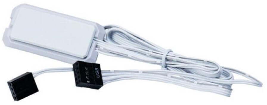 Un dispositivo rettangolare bianco con fili bianchi e due connettori neri. Un connettore ha l'etichetta USB. I fili sono legati.