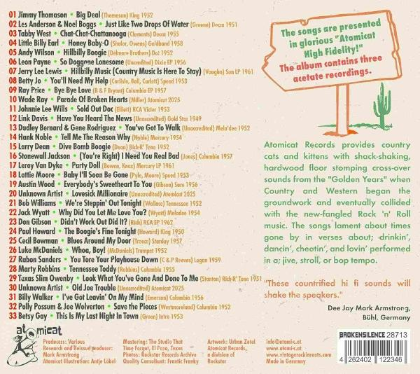 Albumcover mit einer Titelliste, einem Schild über High Fidelity und einer Kaktusillustration.