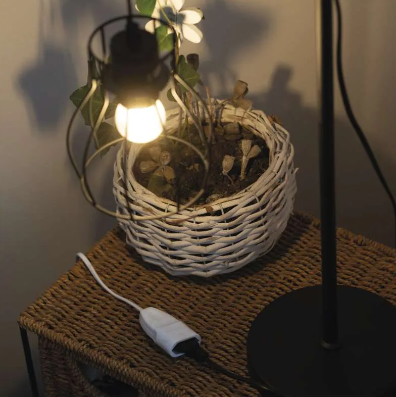 Egy izzó lámpája egy fonott kosárra világít, melyben egy növény található. A kosár egy fonott asztalon van. Egy dugó látható.
