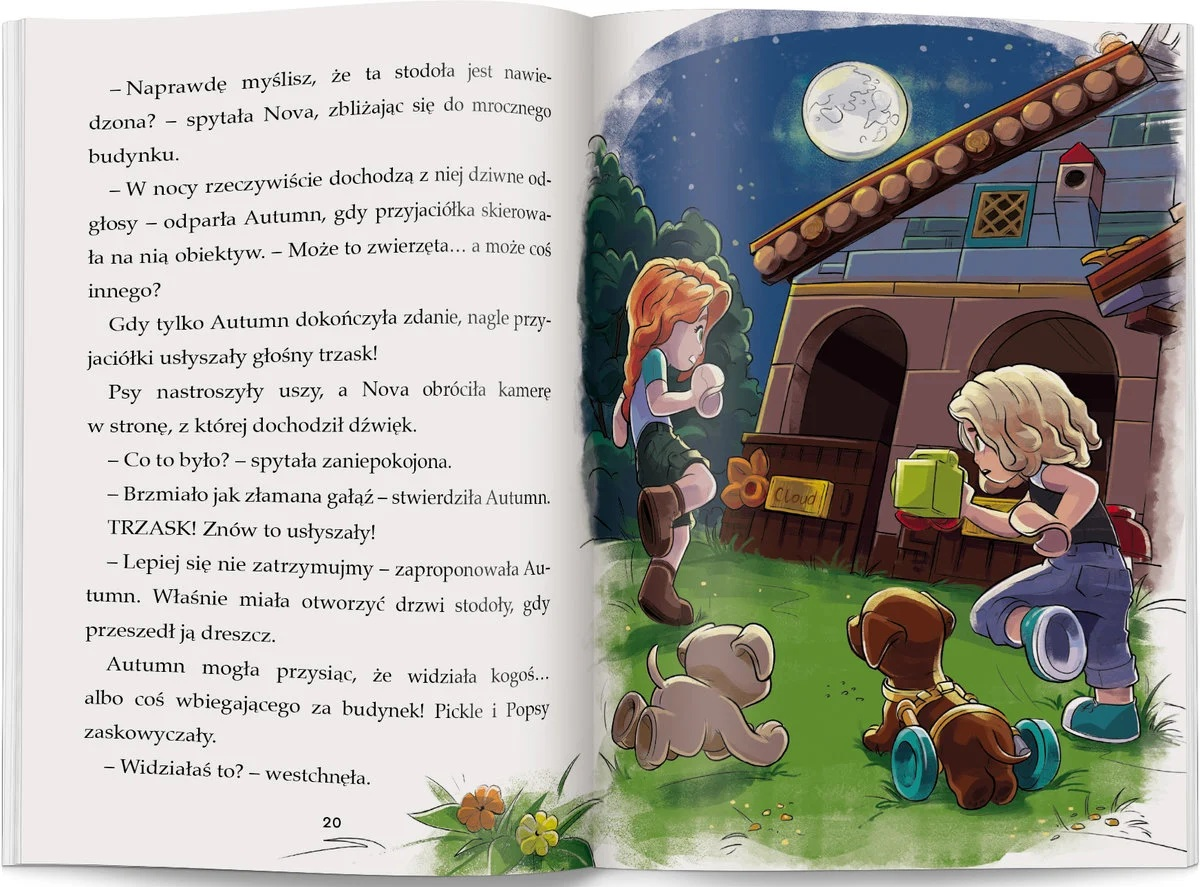 Ilustracja przedstawia dwie dziewczyny, psy i budynek nocą. Widoczny jest pełny księżyc. Jedna dziewczyna trzyma zielone pudełko.