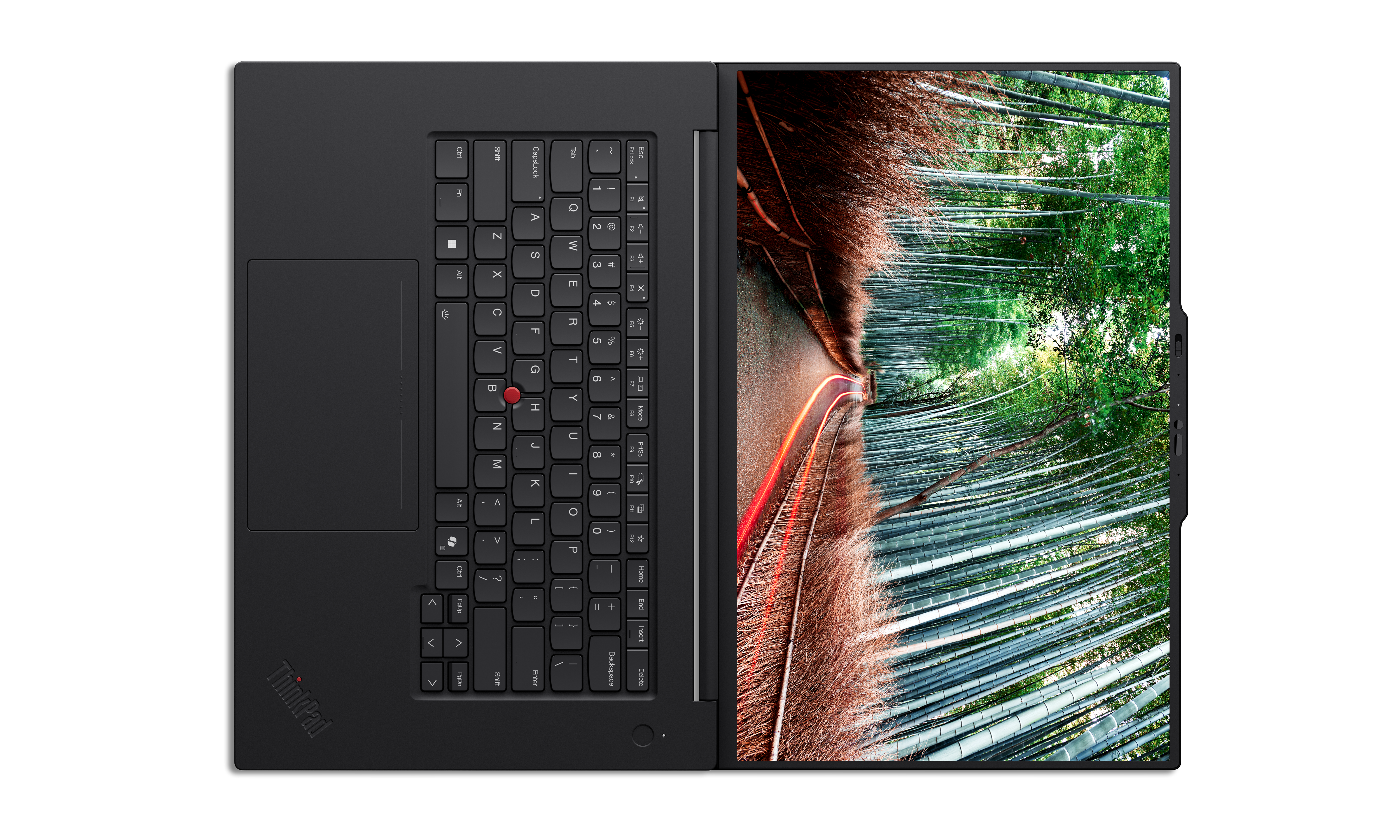 Schwarzer ThinkPad-Laptop geöffnet. Bildschirm zeigt Bambuswald. Tastatur und Touchpad sichtbar. Weißer Hintergrund.