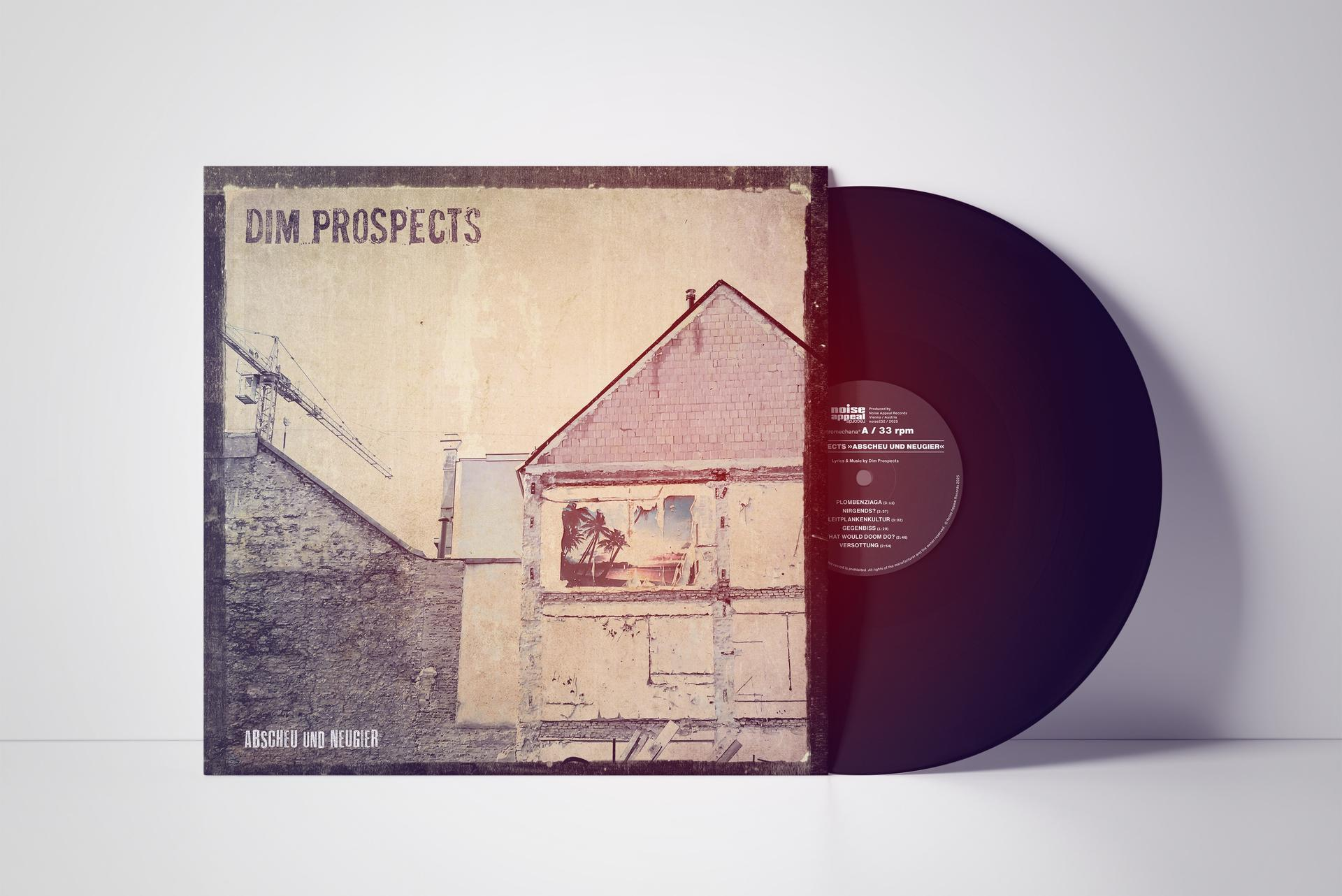 Albumcover: Dim Prospects, mit einem Hausbild und einer Schallplatte.