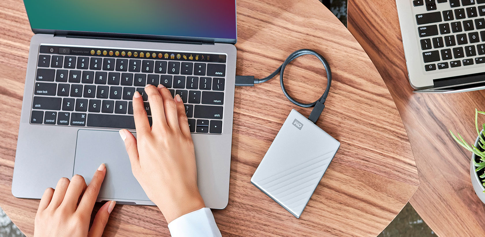 Un ordinateur portable avec des mains tapant sur le clavier. Un disque dur externe WD est connecté. Table en bois avec une plante.