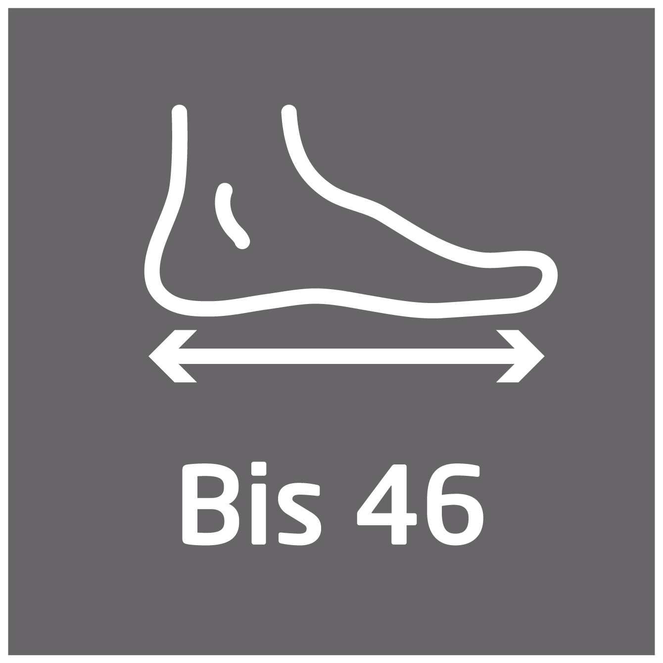 Symbol mit Fußumriss, Pfeile für die Messung und Text 'Bis 46' auf grauem Hintergrund.