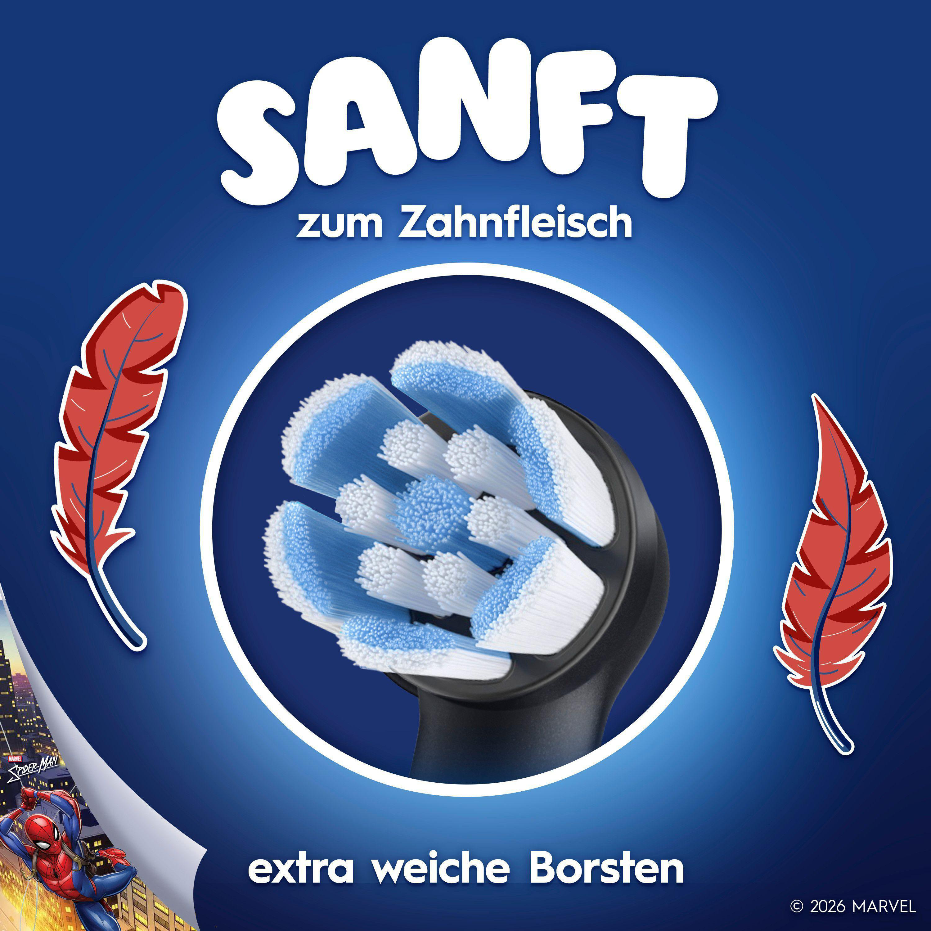 Das Bild zeigt einen Zahnbürstenkopf mit blauen und weißen Borsten. Rote Federn befinden sich auf beiden Seiten, mit Spider-Man in der Ecke.