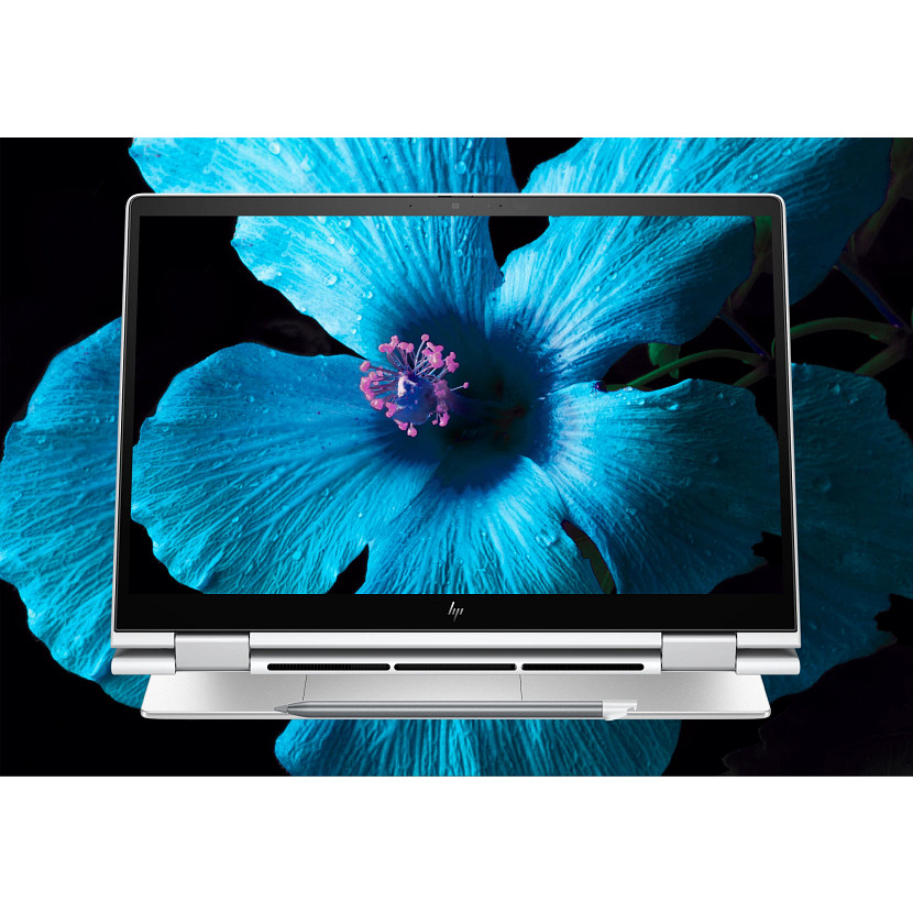 Laptop-Bildschirm zeigt blaue Blume mit pinkfarbenem Zentrum. Der Laptop ist offen, silberfarben, mit HP-Logo. Schwarzer Hintergrund.