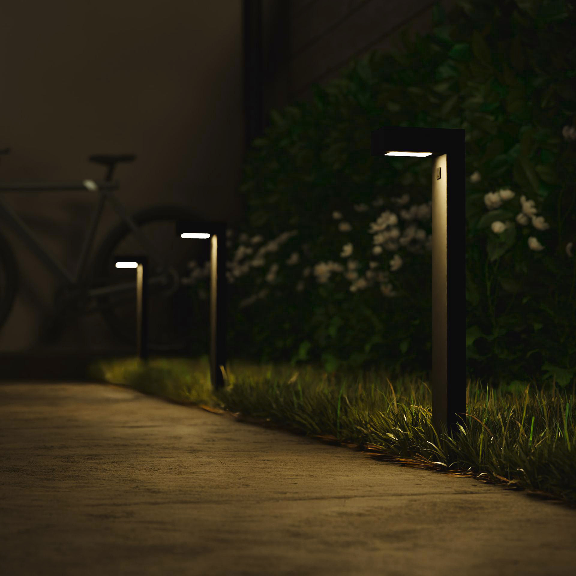 Weg beleuchtet von modernen Lampen bei Nacht. Im Hintergrund ist ein Fahrrad verschwommen, mit grünen Büschen und Gras.