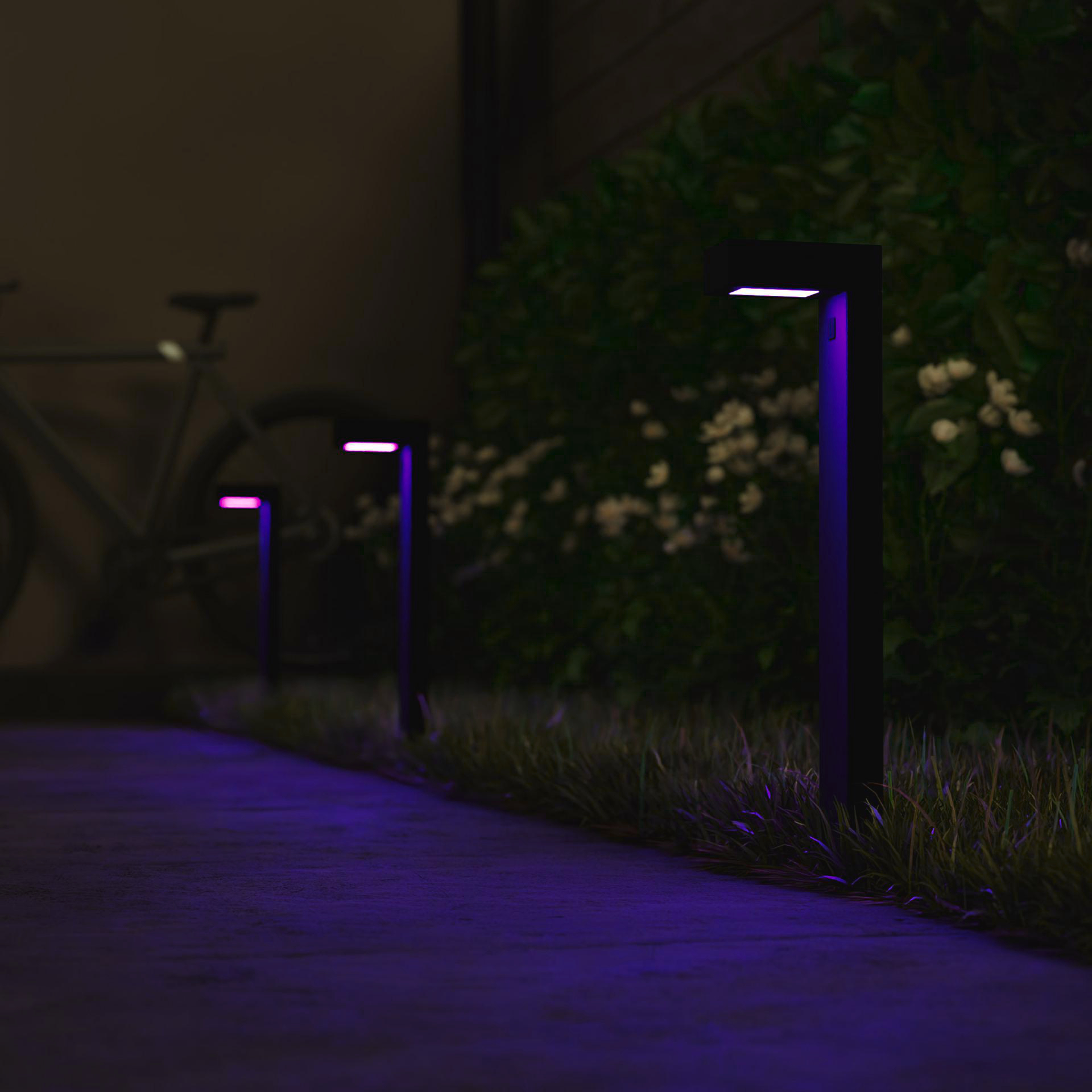 Nachtszenen mit beleuchtetem Weg. Schwarze Lampen mit lilafarbenem Leuchten. Im Hintergrund ist ein Fahrrad unscharf. Grüne Büsche und Gras.